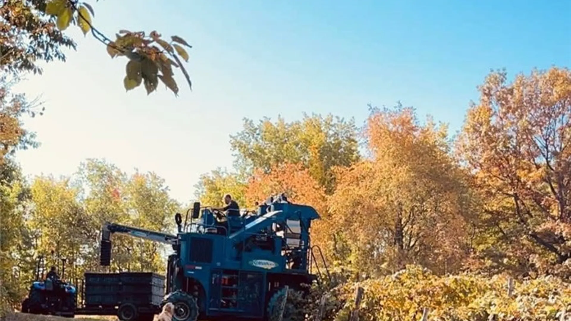 Property at Sutton Road, Jerusalem, NY 14527 40