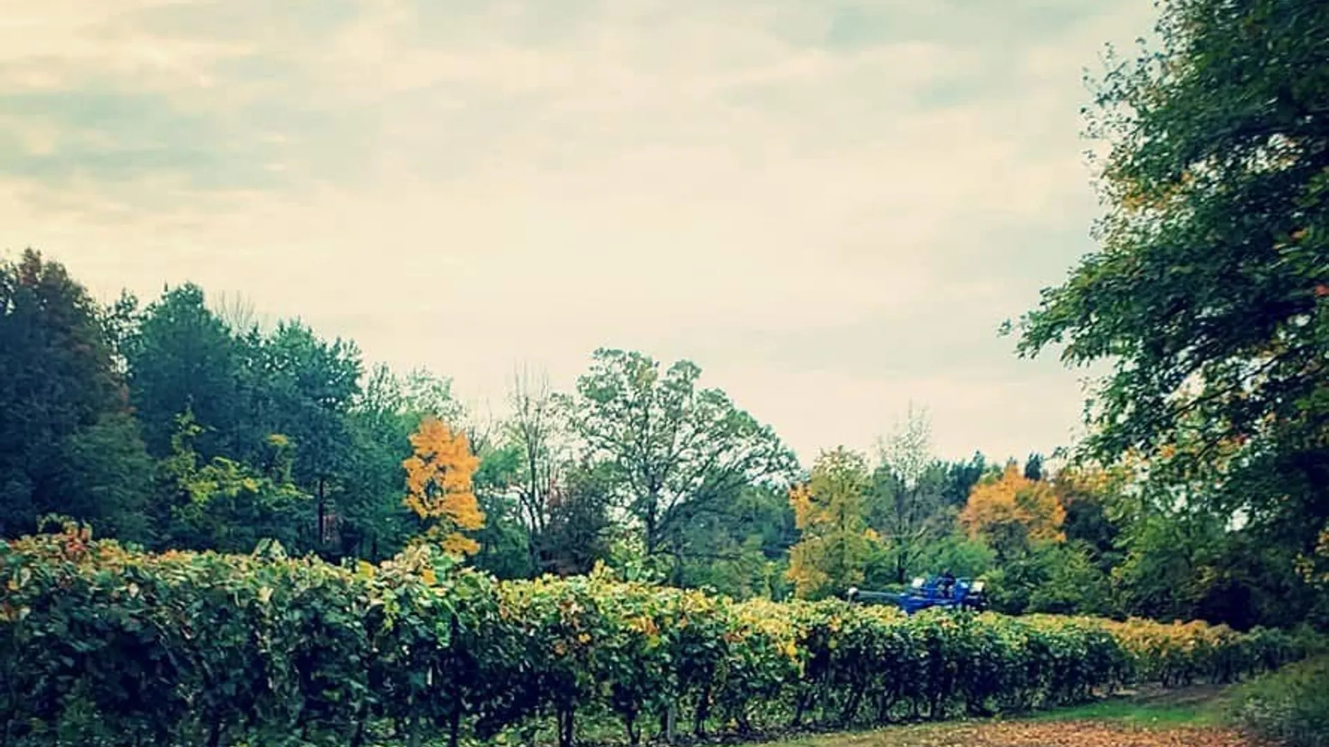 Property at Sutton Road, Jerusalem, NY 14527 41