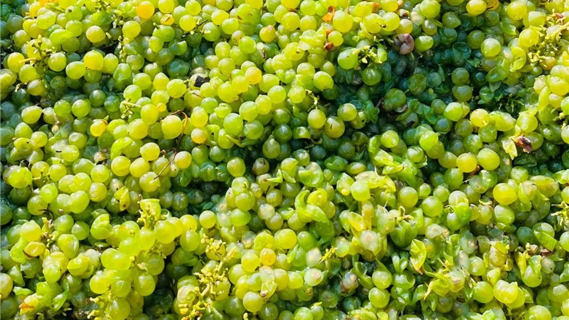 Property at Sutton Road, Jerusalem, NY 14527 45