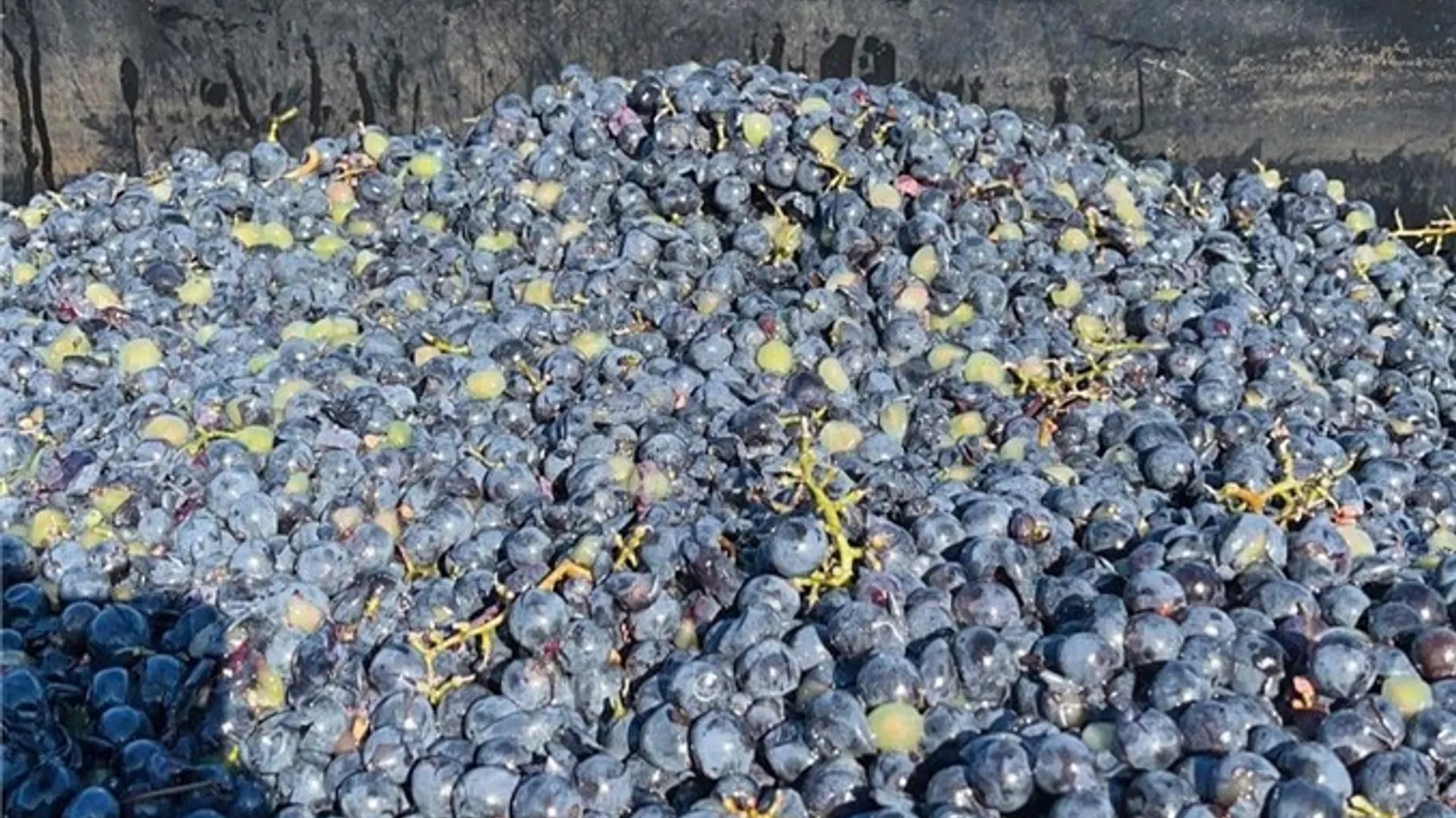 Property at Sutton Road, Jerusalem, NY 14527 47