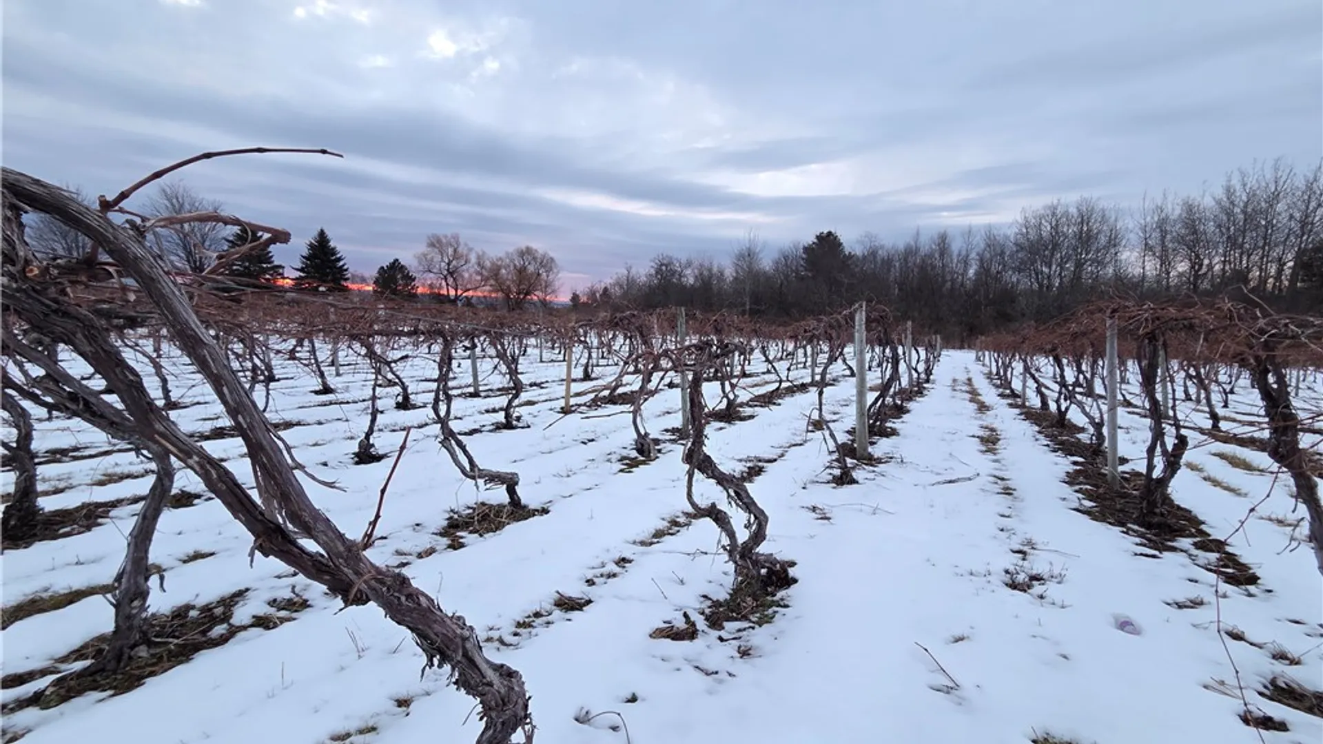 Property at Sutton Road, Jerusalem, NY 14527 8