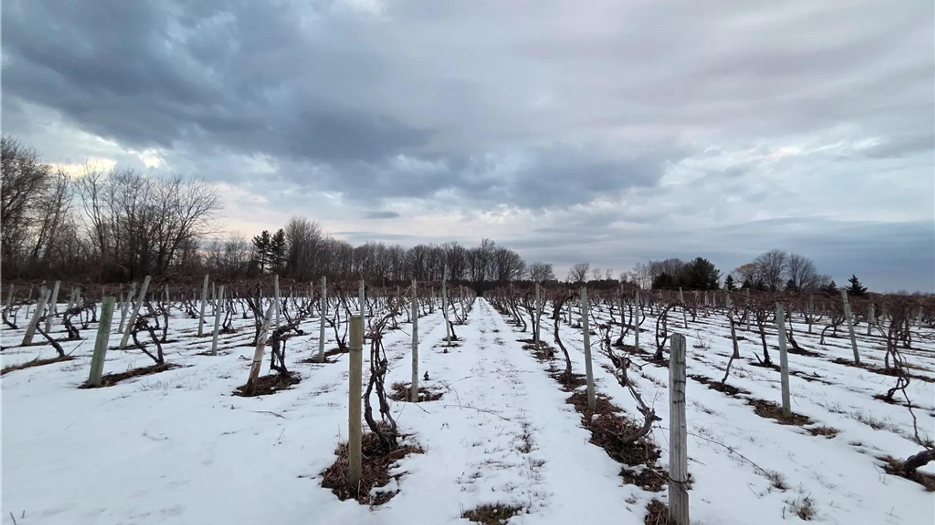 Property at Sutton Road, Jerusalem, NY 14527 9