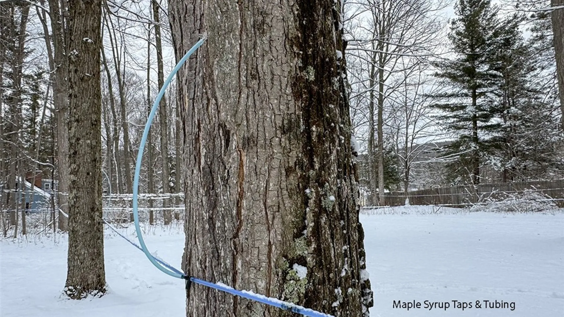 Property at 6 Knoll Tree Road, Dryden, NY 14850 28