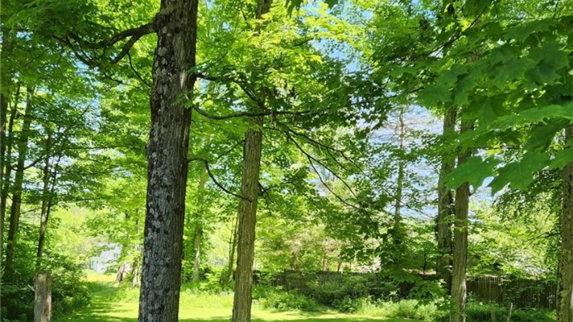 Property at 6 Knoll Tree Road, Dryden, NY 14850 5