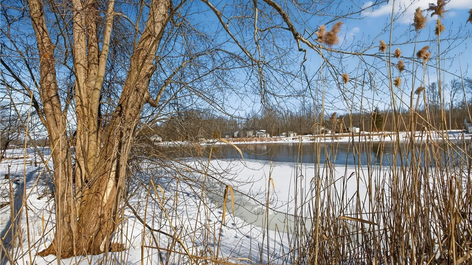 Property at 00 Horseshoe Island Road, Clay, NY 13041 6