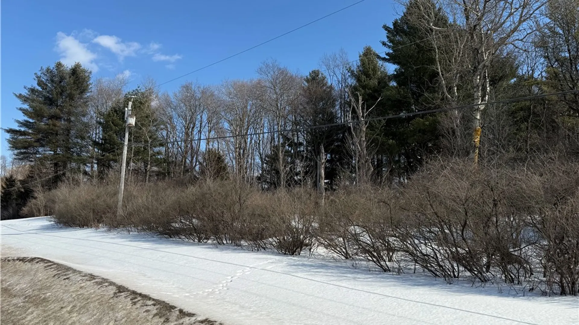 Property at 0 Rt-39, Eagle, NY 14024 10