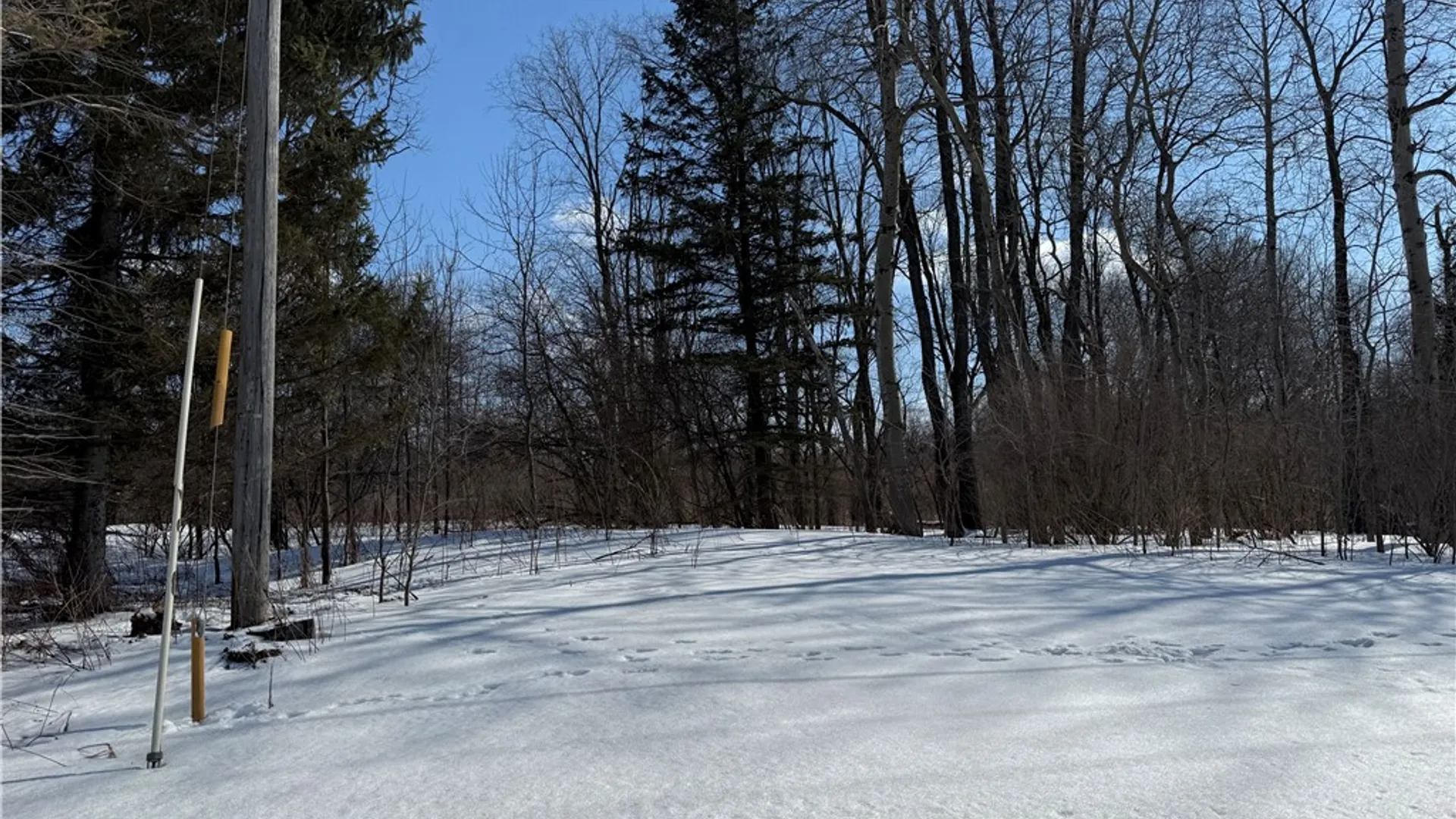 Property at 0 Rt-39, Eagle, NY 14024 11