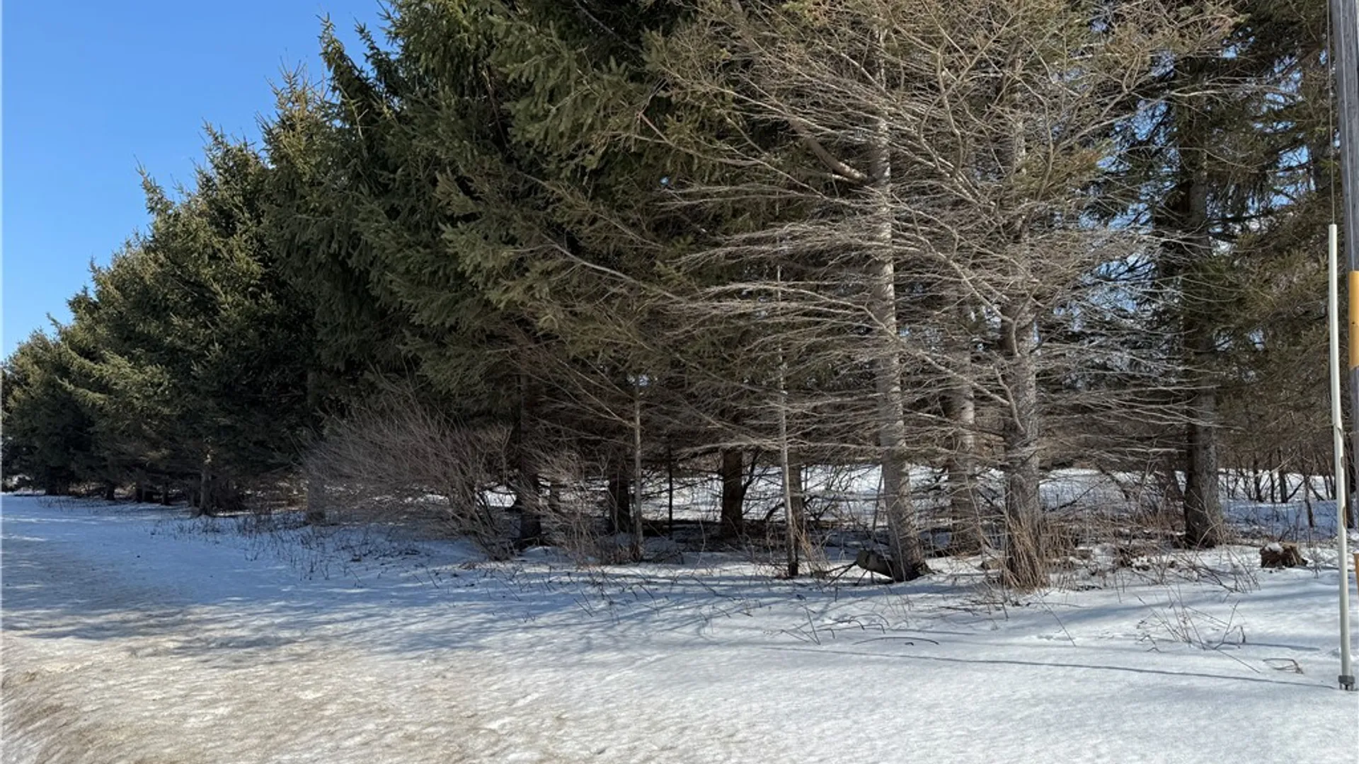 Property at 0 Rt-39, Eagle, NY 14024 12