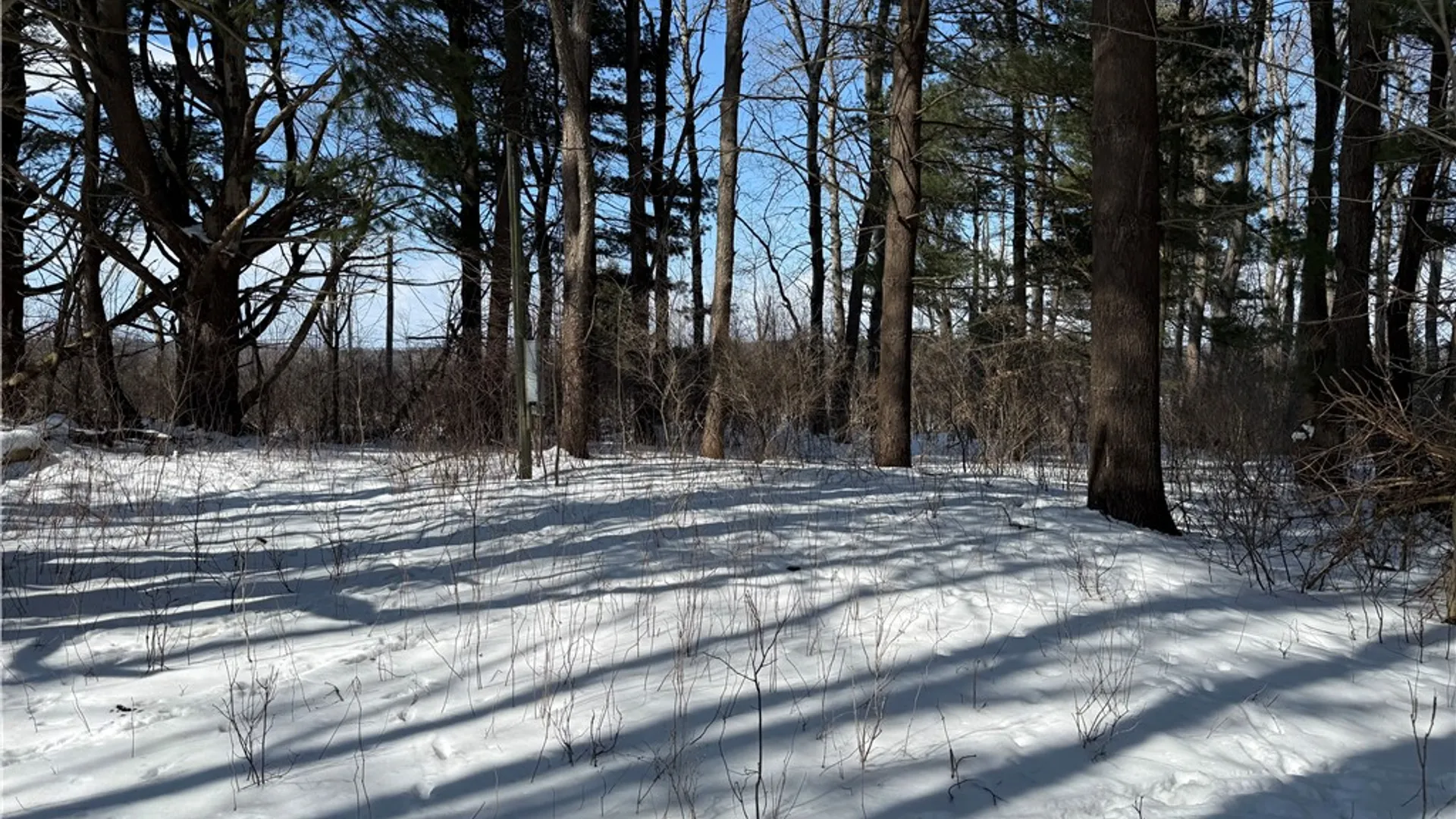 Property at 0 Rt-39, Eagle, NY 14024 4