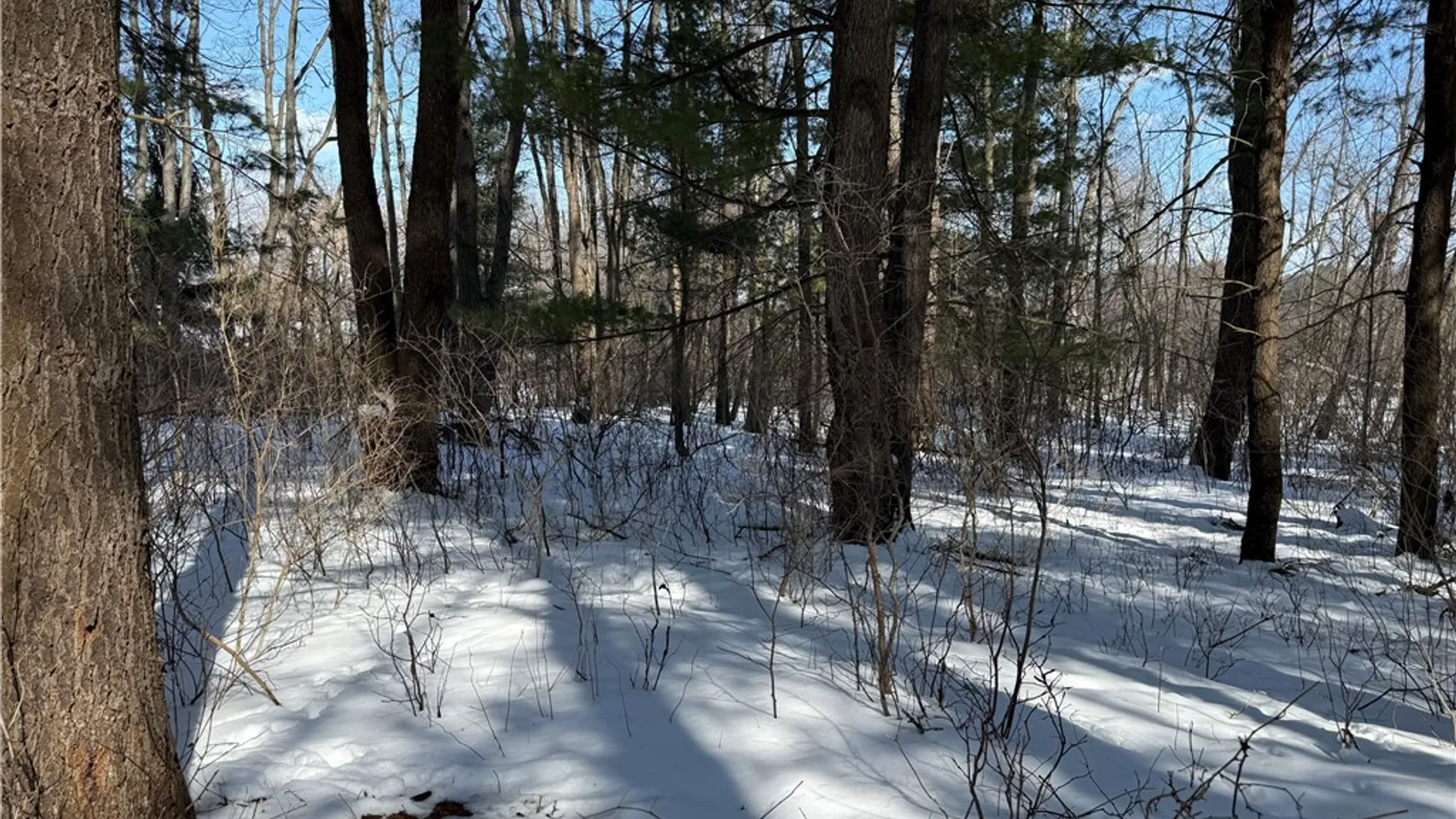 Property at 0 Rt-39, Eagle, NY 14024 5