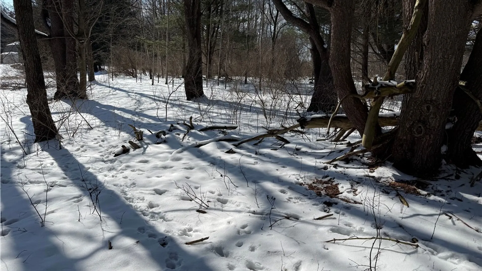 Property at 0 Rt-39, Eagle, NY 14024 7