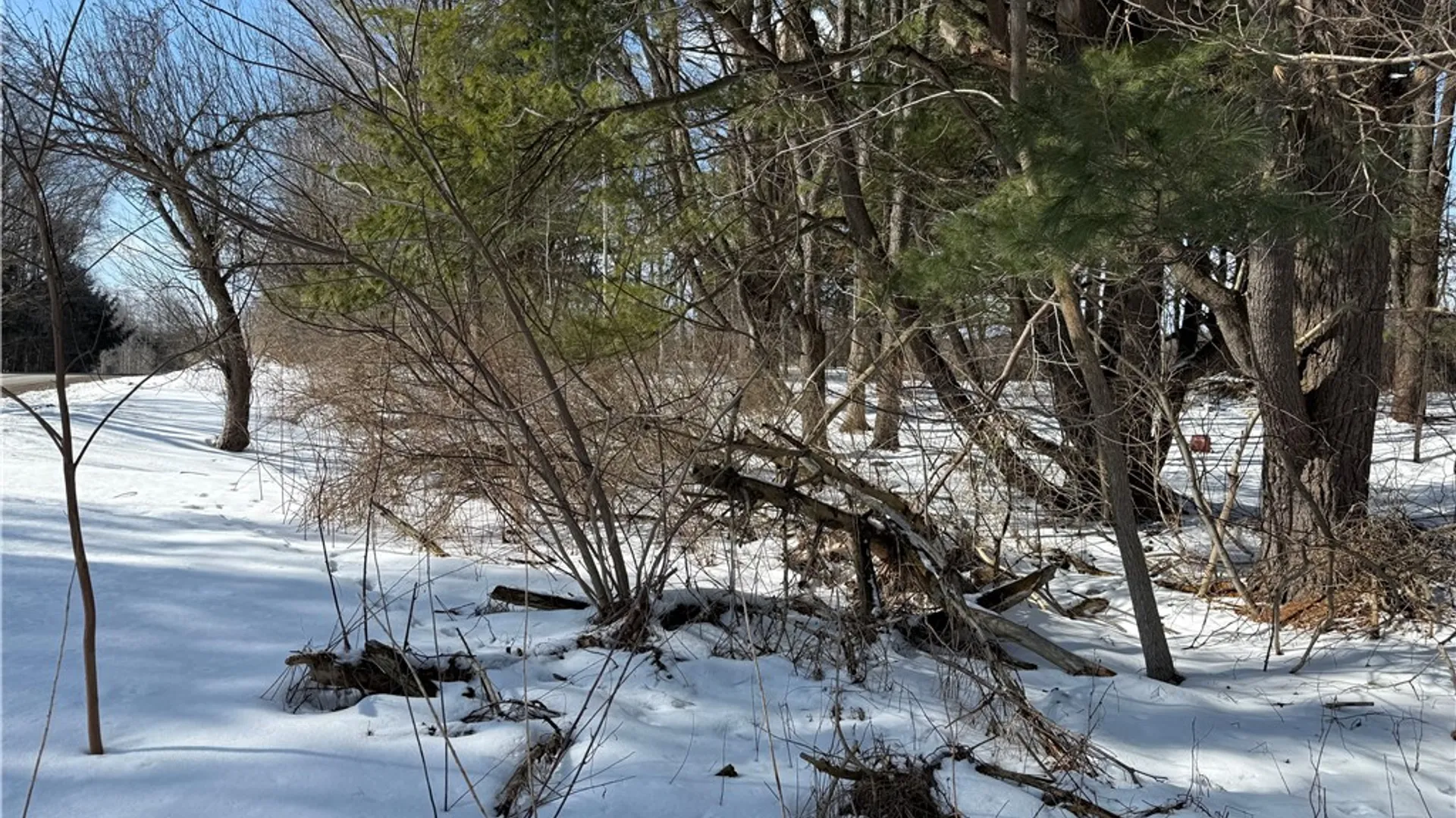 Property at 0 Rt-39, Eagle, NY 14024 8