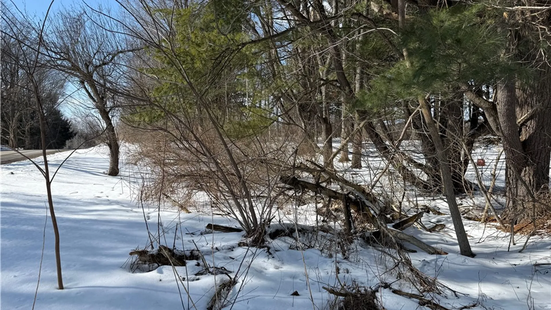 Property at 0 Rt-39, Eagle, NY 14024 9