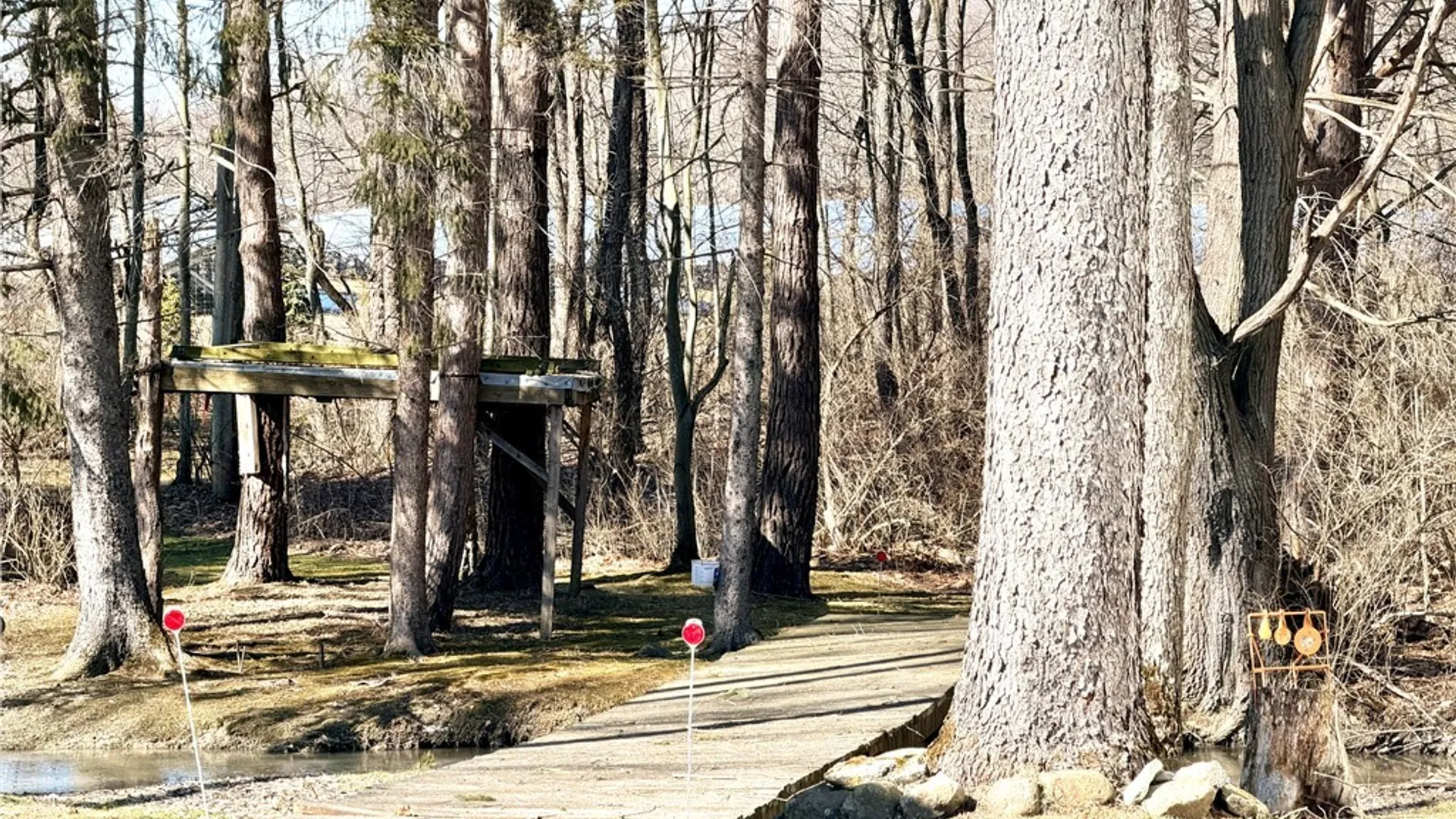 Property at 1703 Haskell Parkway, Portville, NY 14760 40