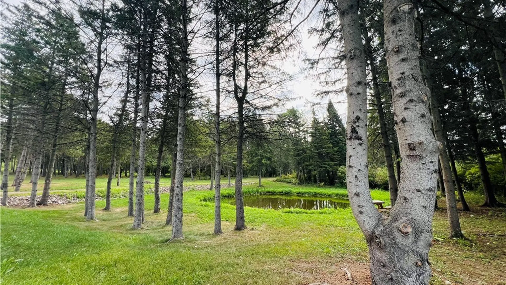 Property at James Street, Clayton, NY 13624 5