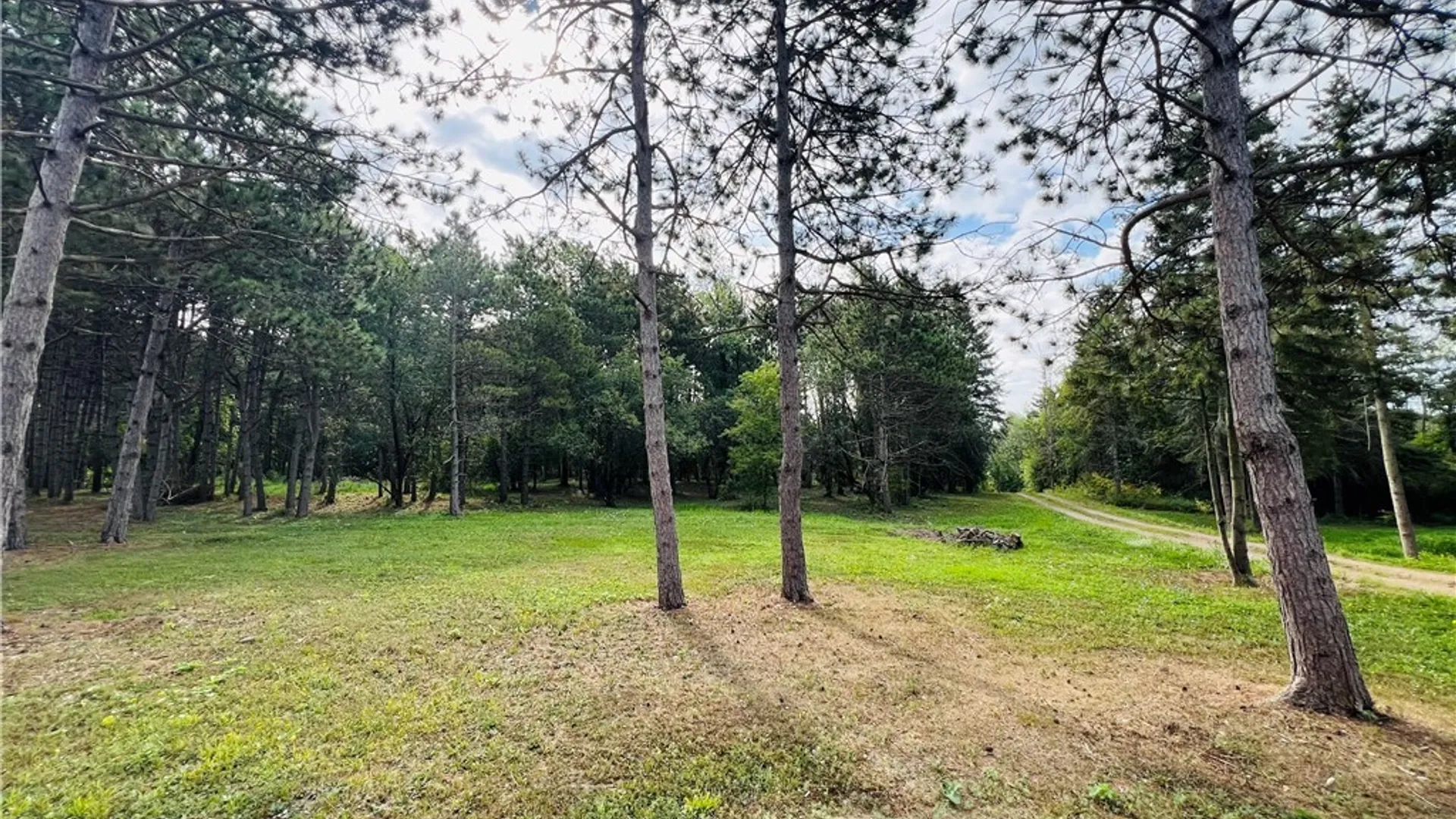 Property at James Street, Clayton, NY 13624 8