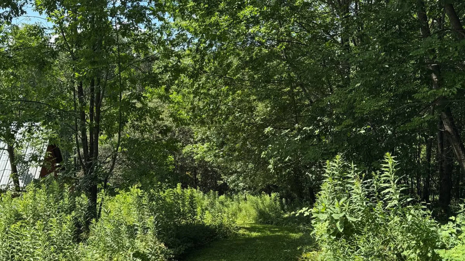 Property at 950 County Highway 22, Burlington Flats, NY 13439 54