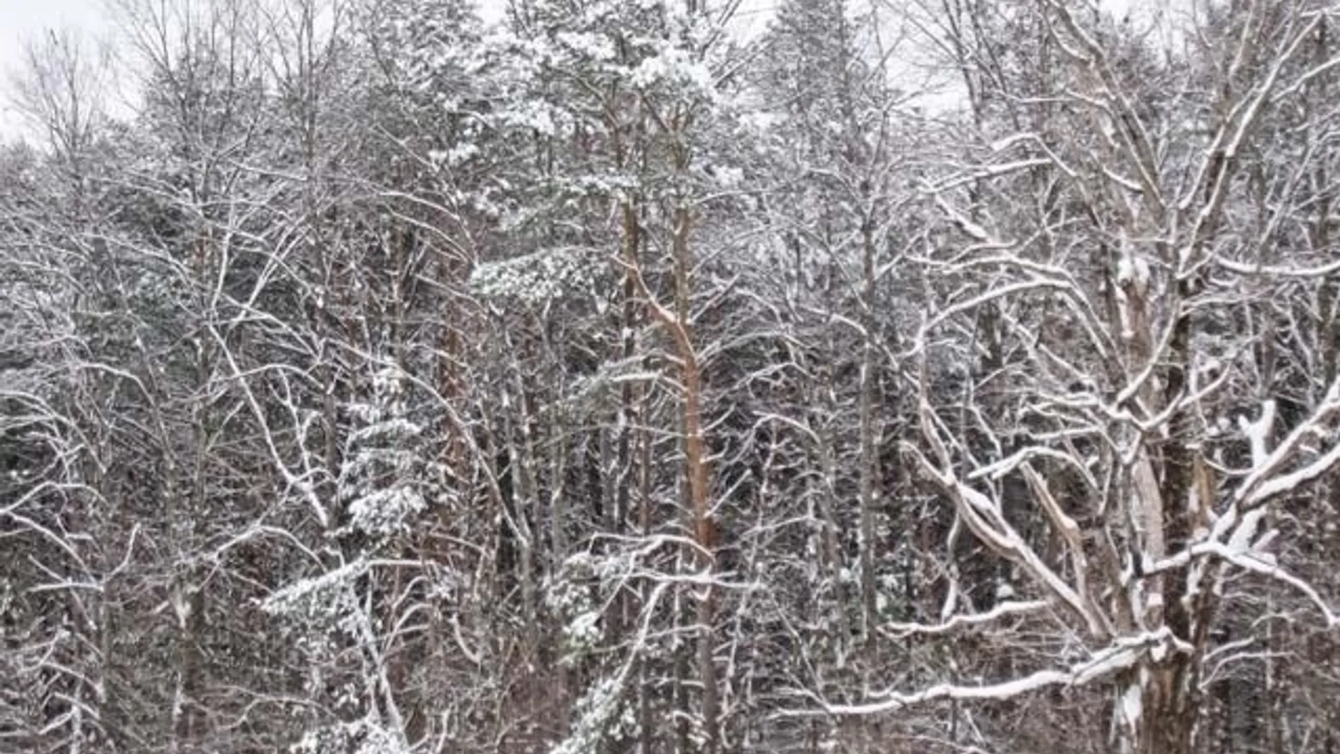 Property at Red School Road, Salisbury, NY 13454 2
