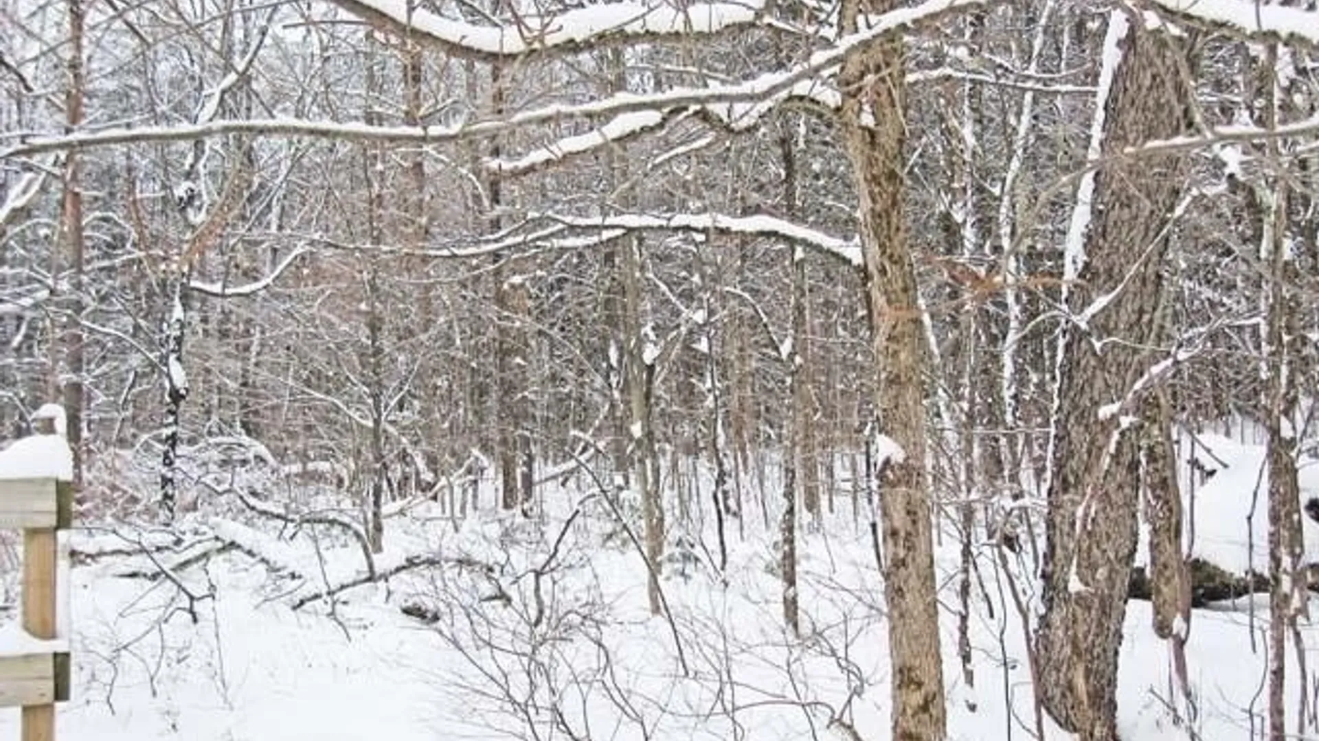 Property at Red School Road, Salisbury, NY 13454 5