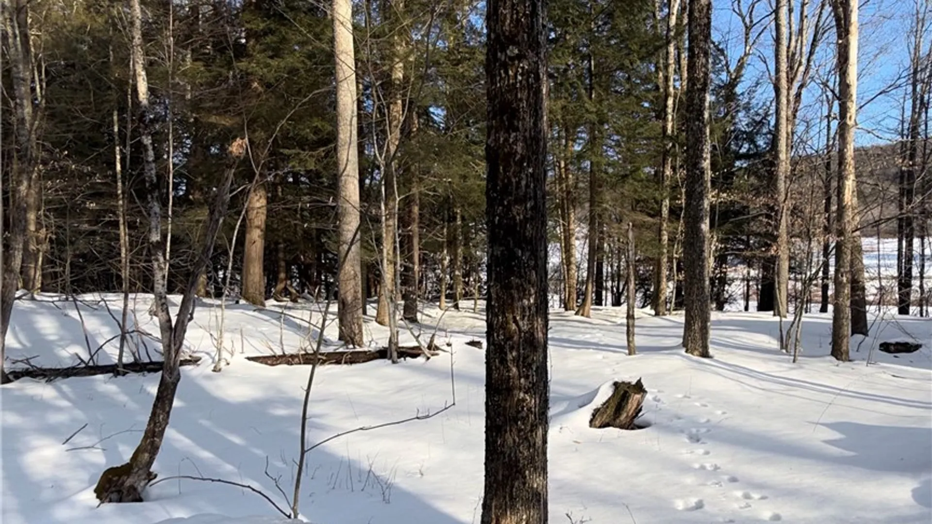 Property at 166 Fields Cross Road, Laurens, NY 13810 6