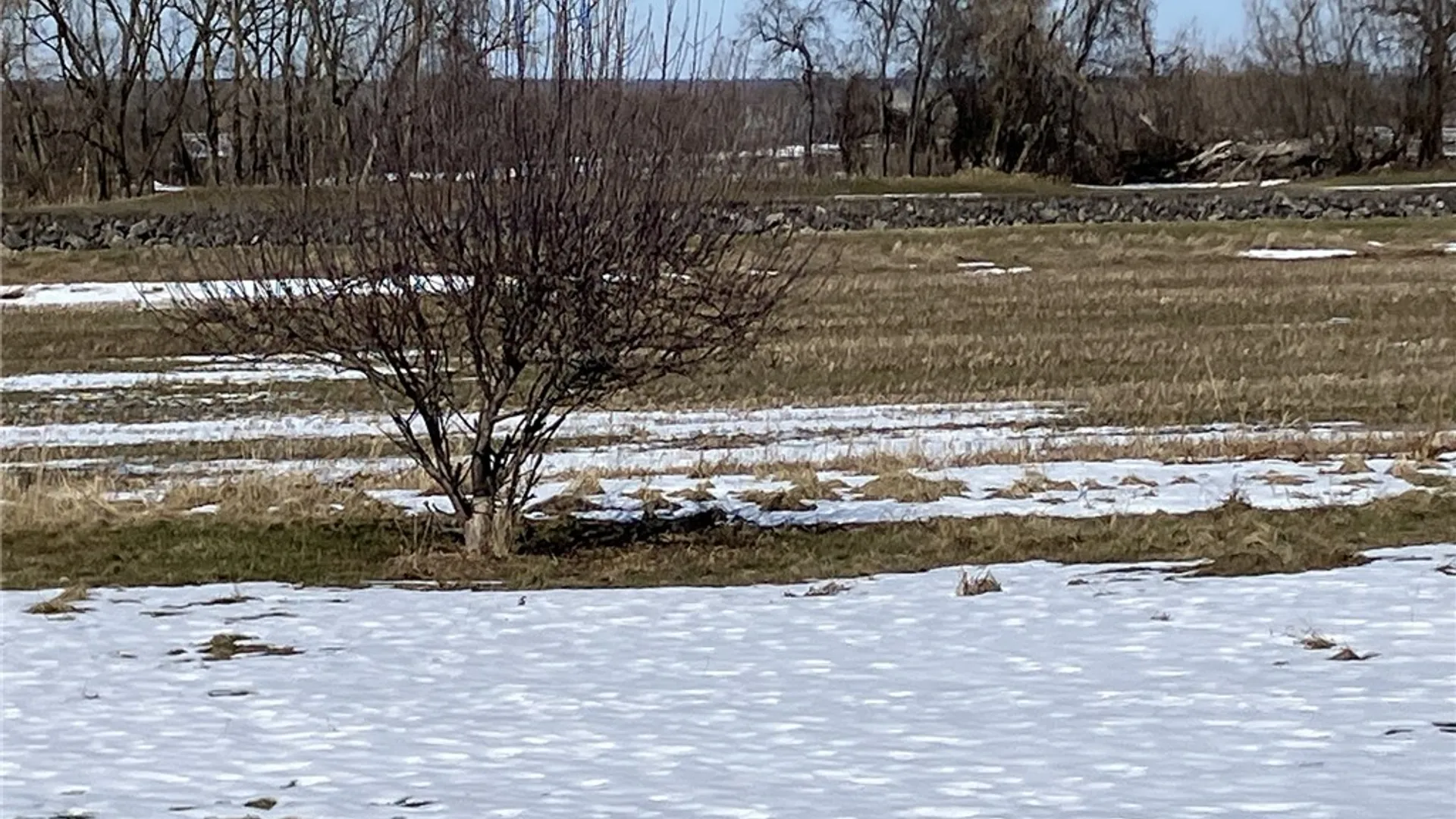 Property at 10235 Telegraph Road, Shelby, NY 14103 4