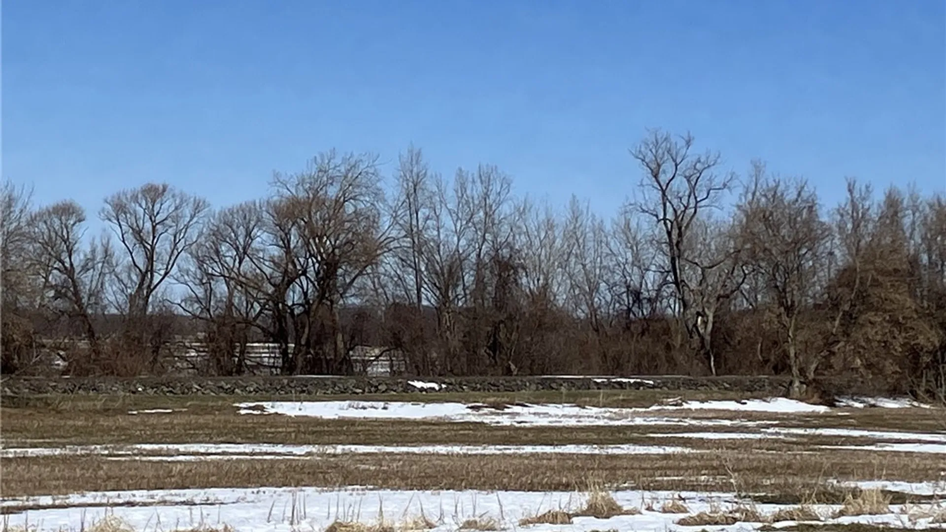 Property at 10235 Telegraph Road, Shelby, NY 14103 5