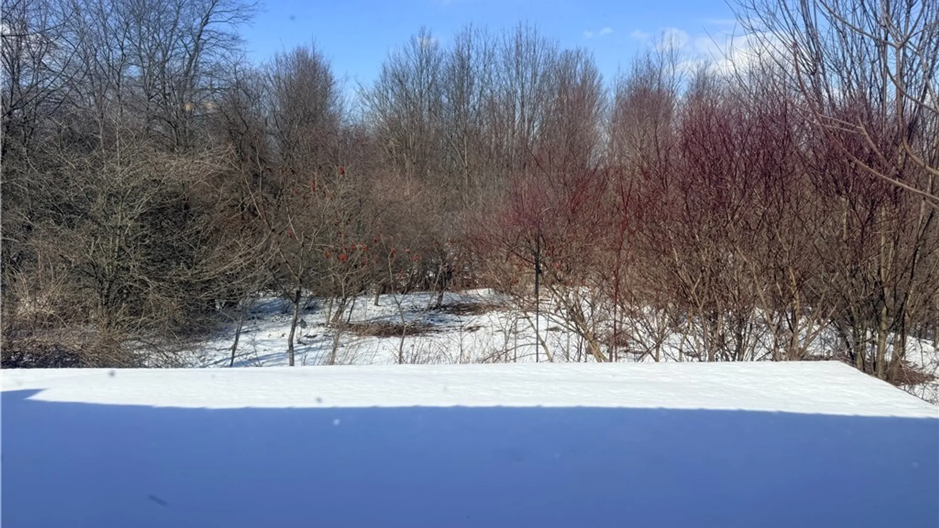 Property at 9838-9848 Route 474, French Creek, NY 14724 32