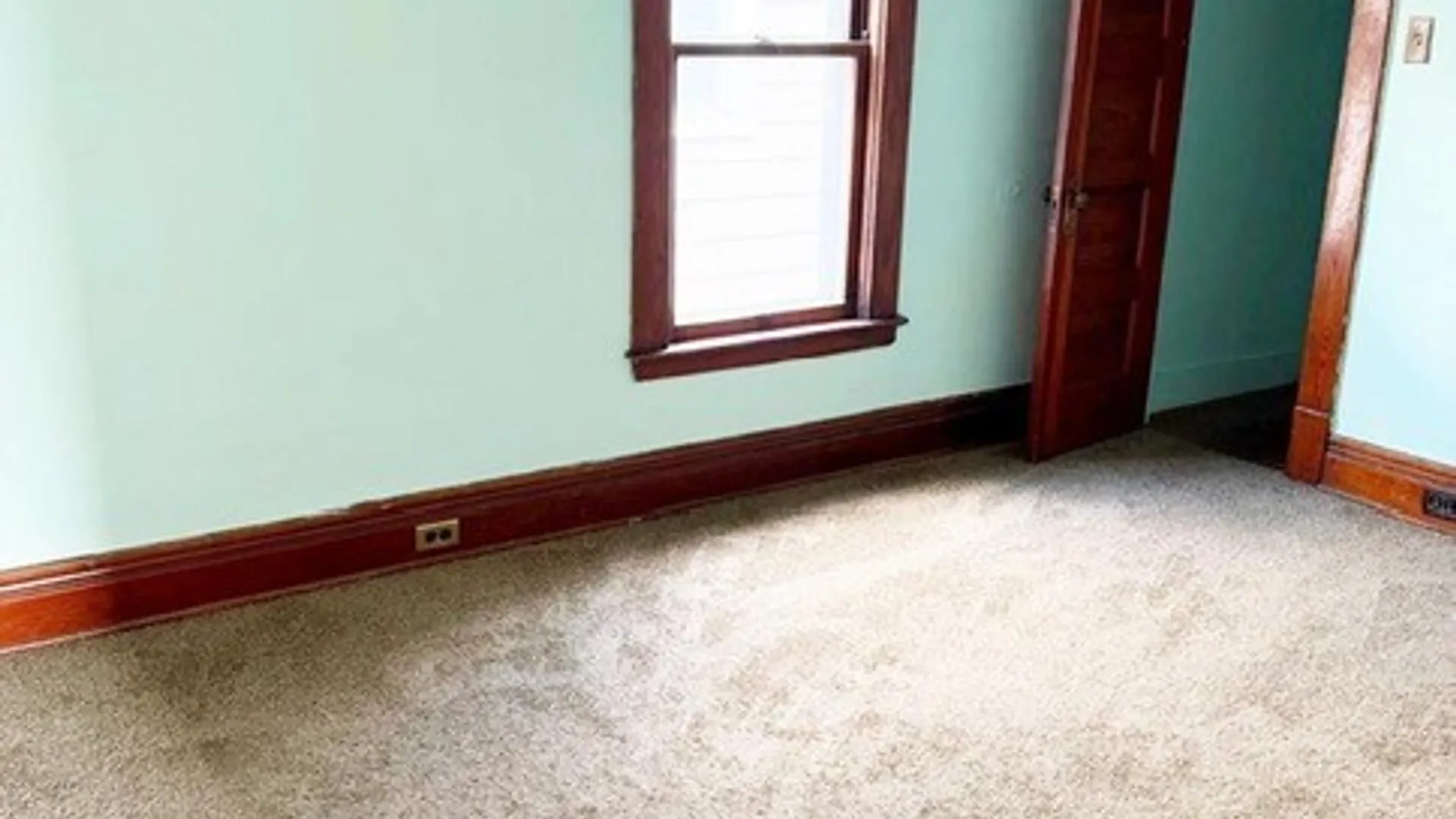 Property at 43 Countess Avenue, Buffalo, NY 14211 15