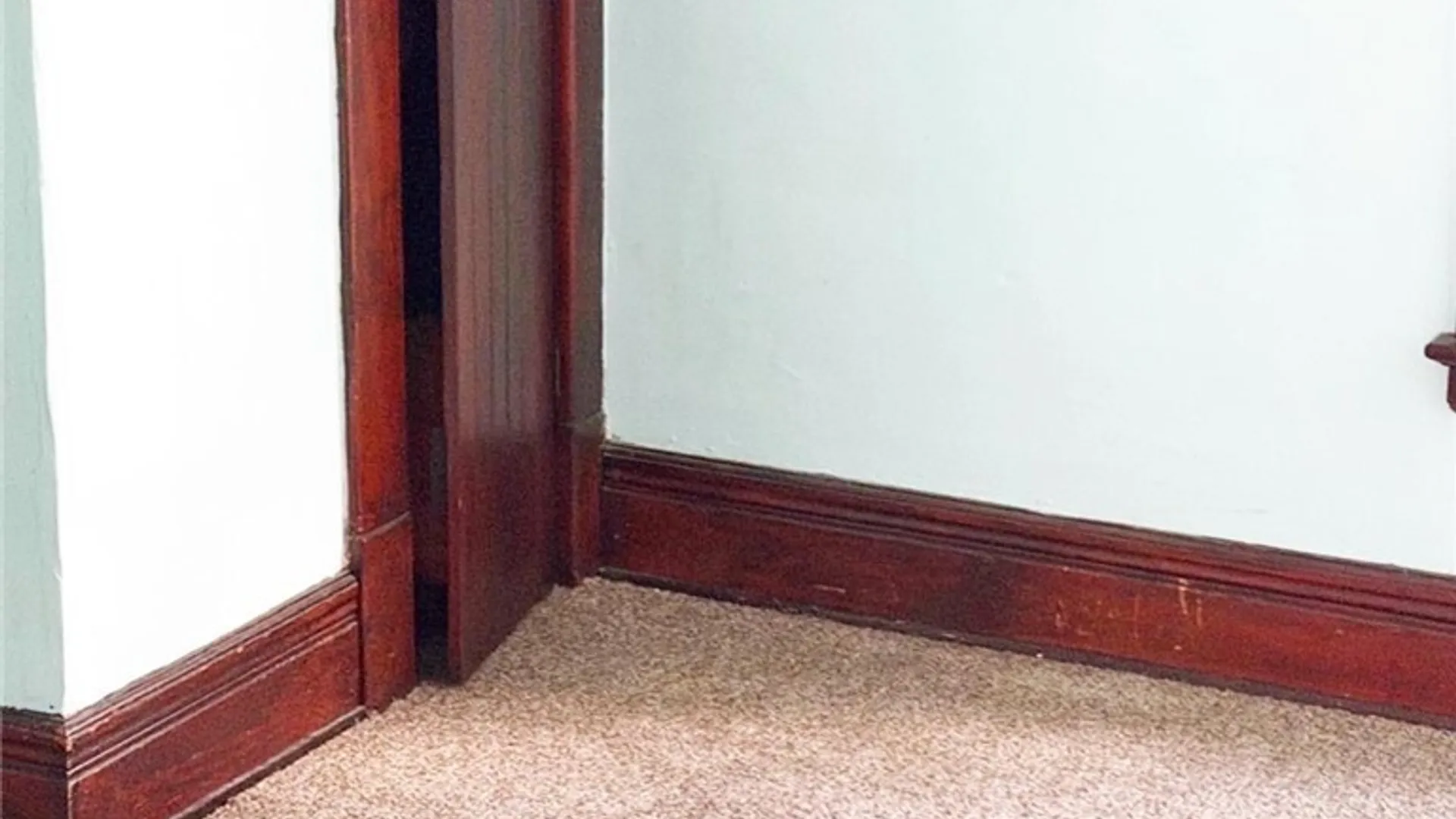 Property at 43 Countess Avenue, Buffalo, NY 14211 8