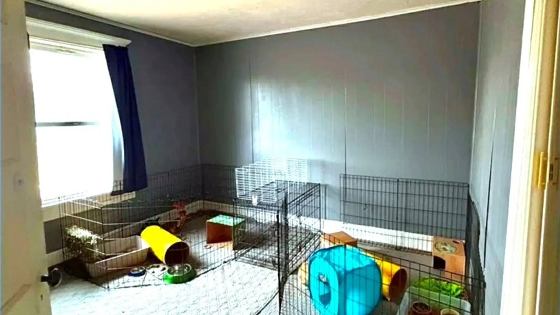 Property at 149 Dunning Avenue, Auburn, NY 13021 25