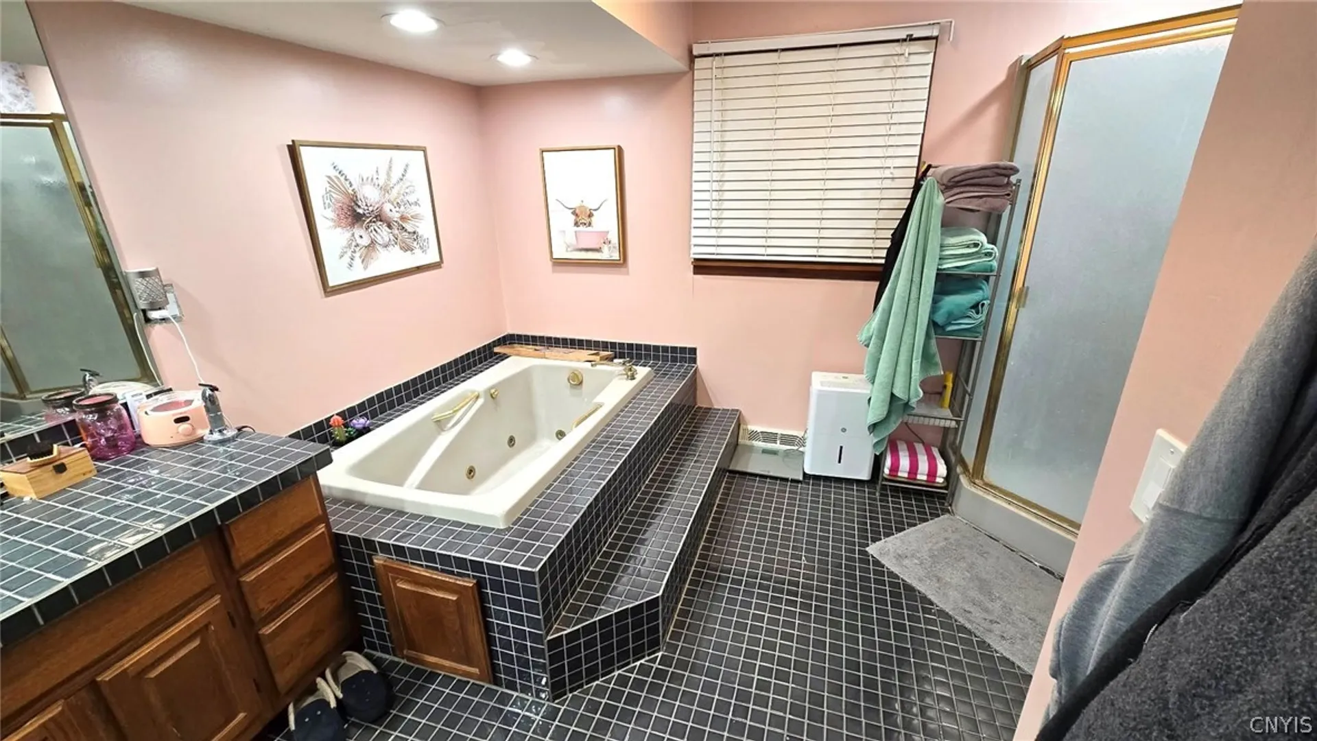 Property at 149 Dunning Avenue, Auburn, NY 13021 27