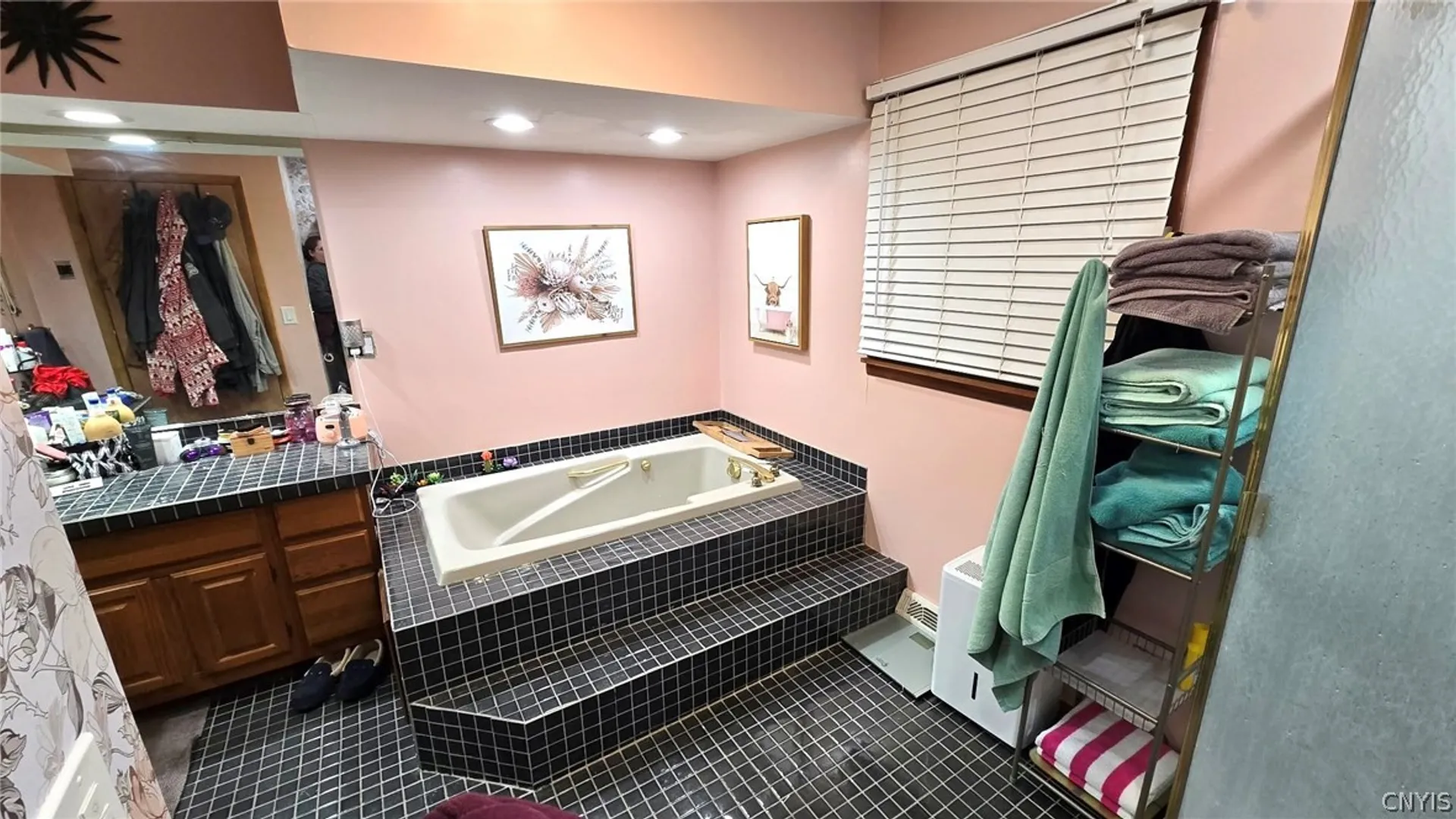 Property at 149 Dunning Avenue, Auburn, NY 13021 28