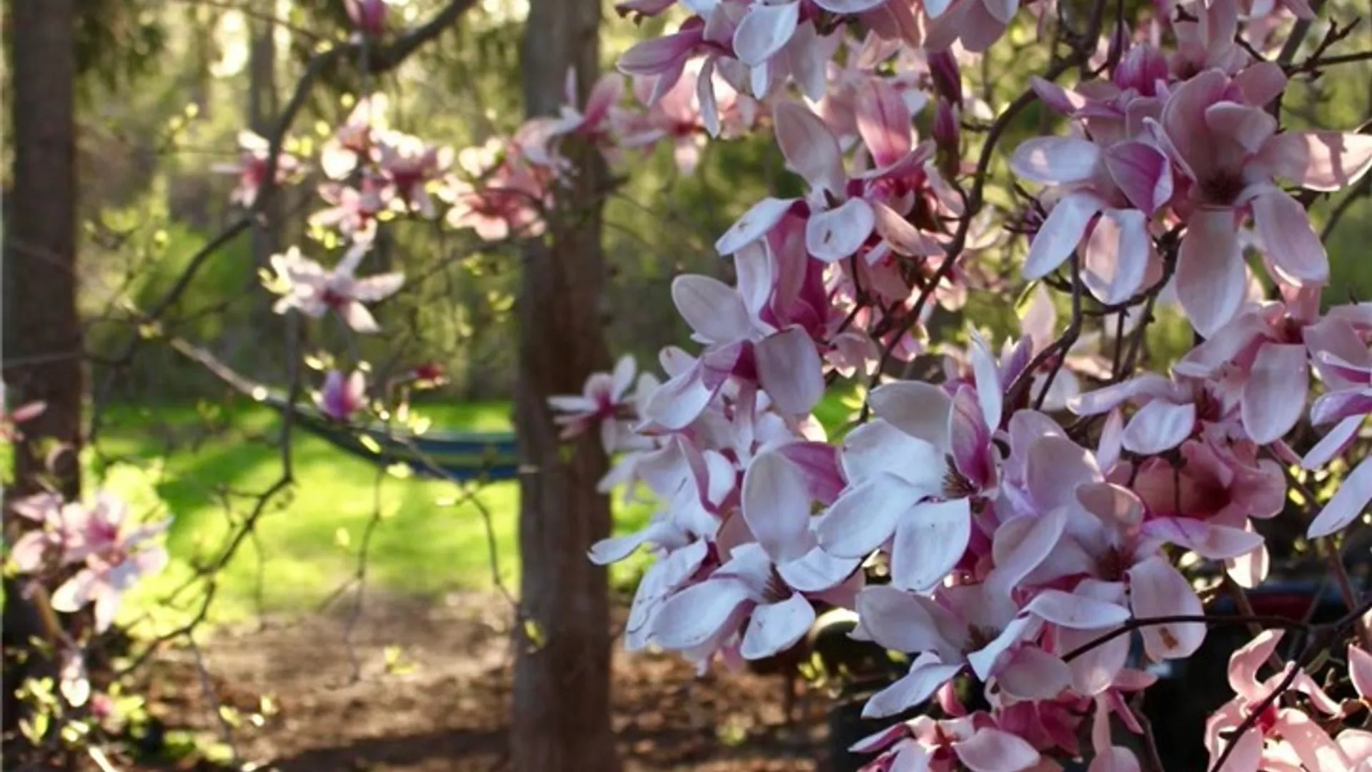 Property at 149 Dunning Avenue, Auburn, NY 13021 37