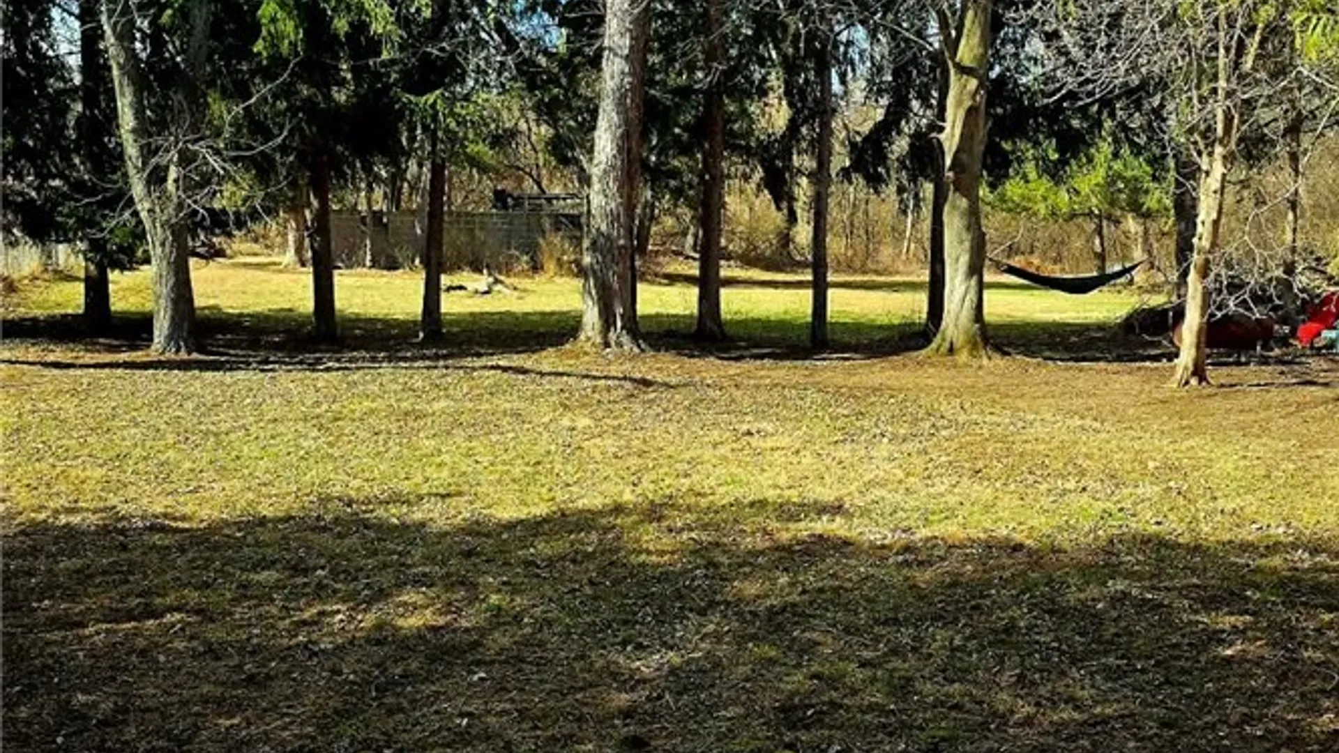 Property at 149 Dunning Avenue, Auburn, NY 13021 38