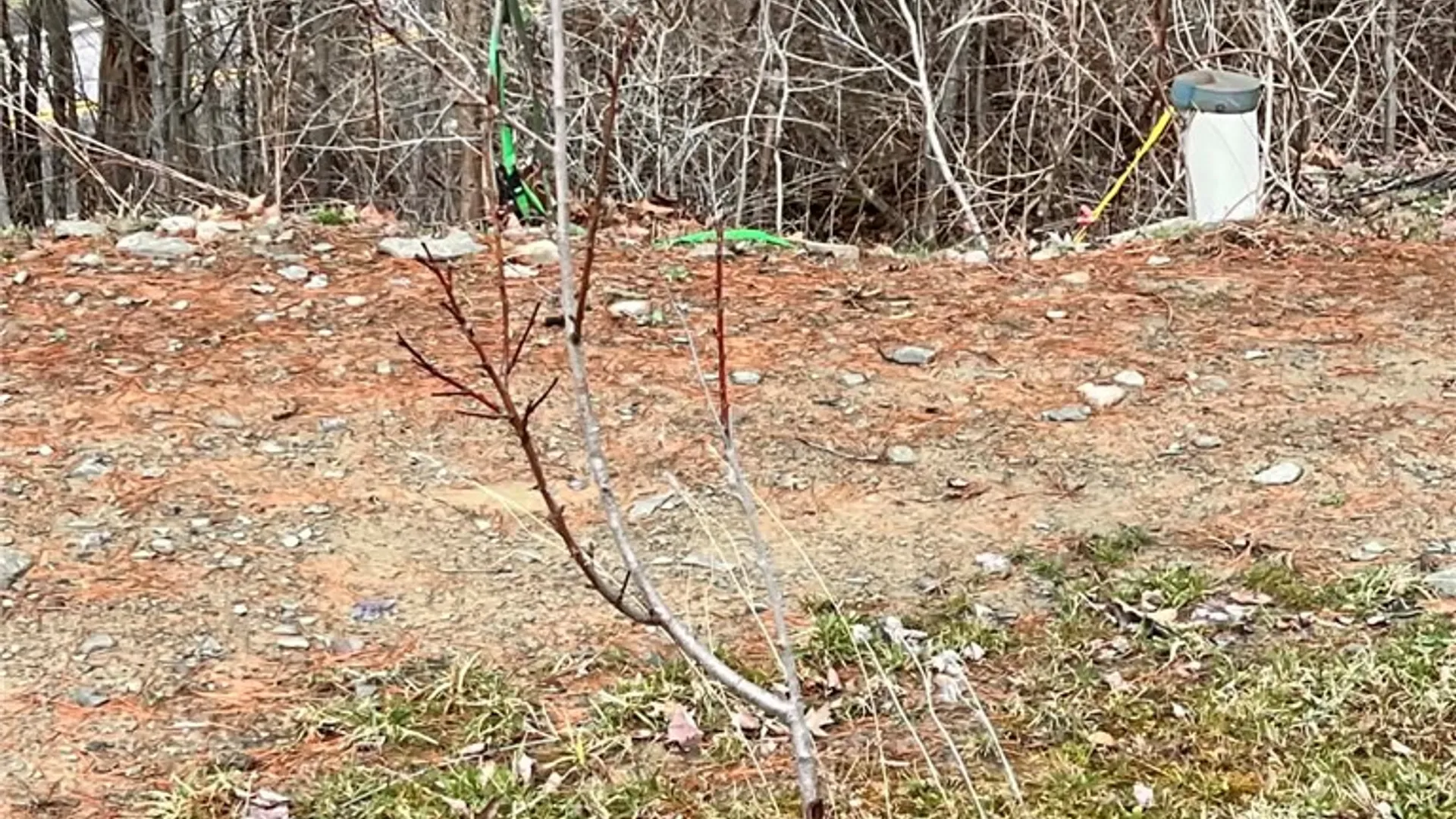 Property at 4432 County Route 1, Campbell, NY 14821 29