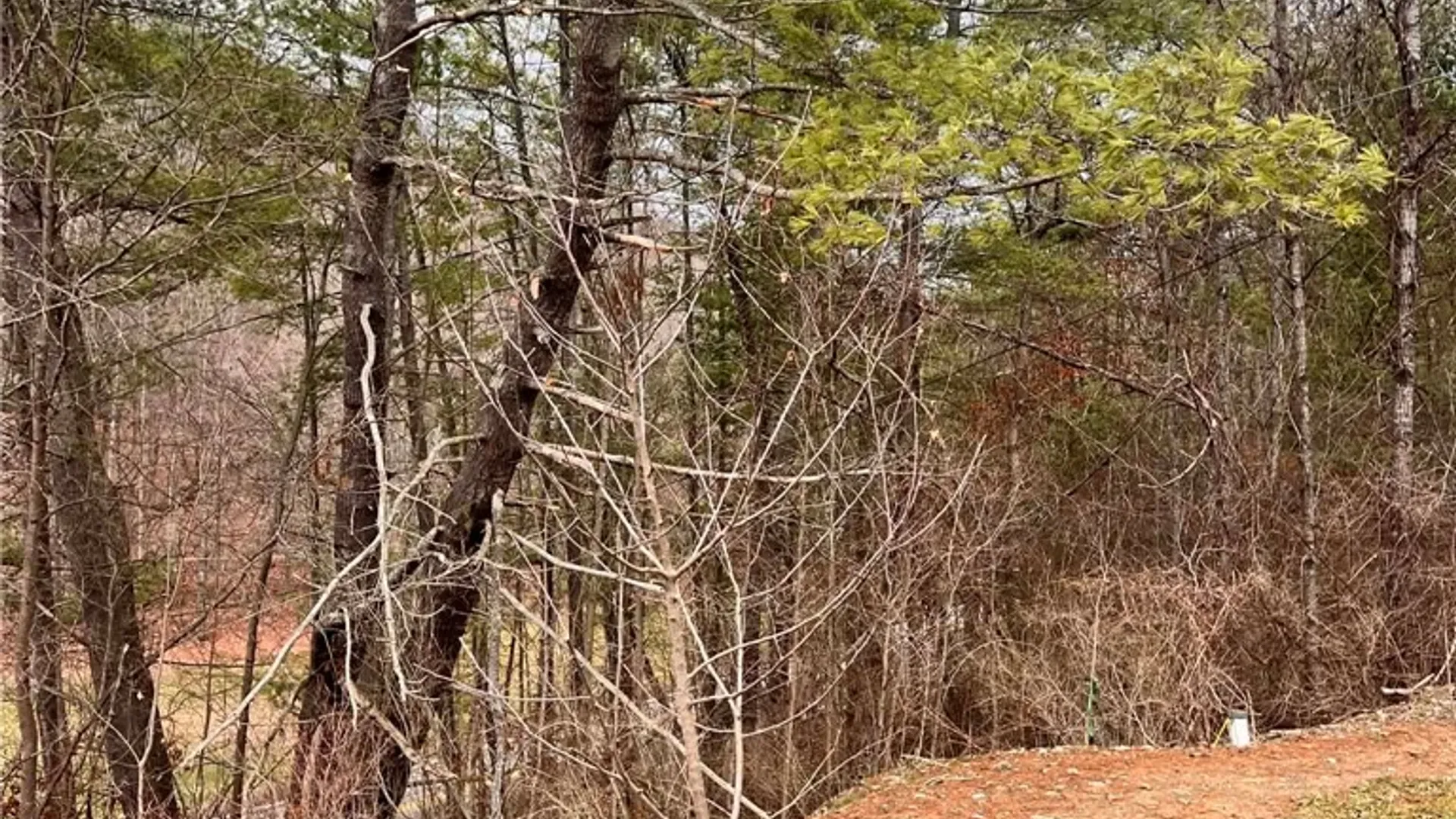 Property at 4432 County Route 1, Campbell, NY 14821 30