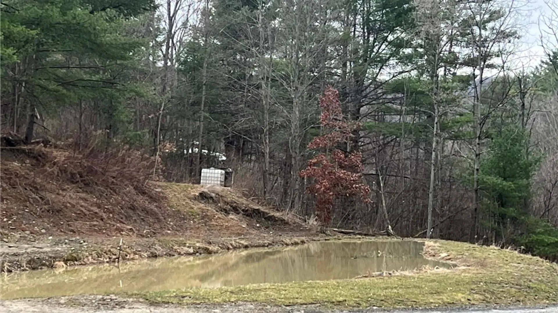 Property at 4432 County Route 1, Campbell, NY 14821 6