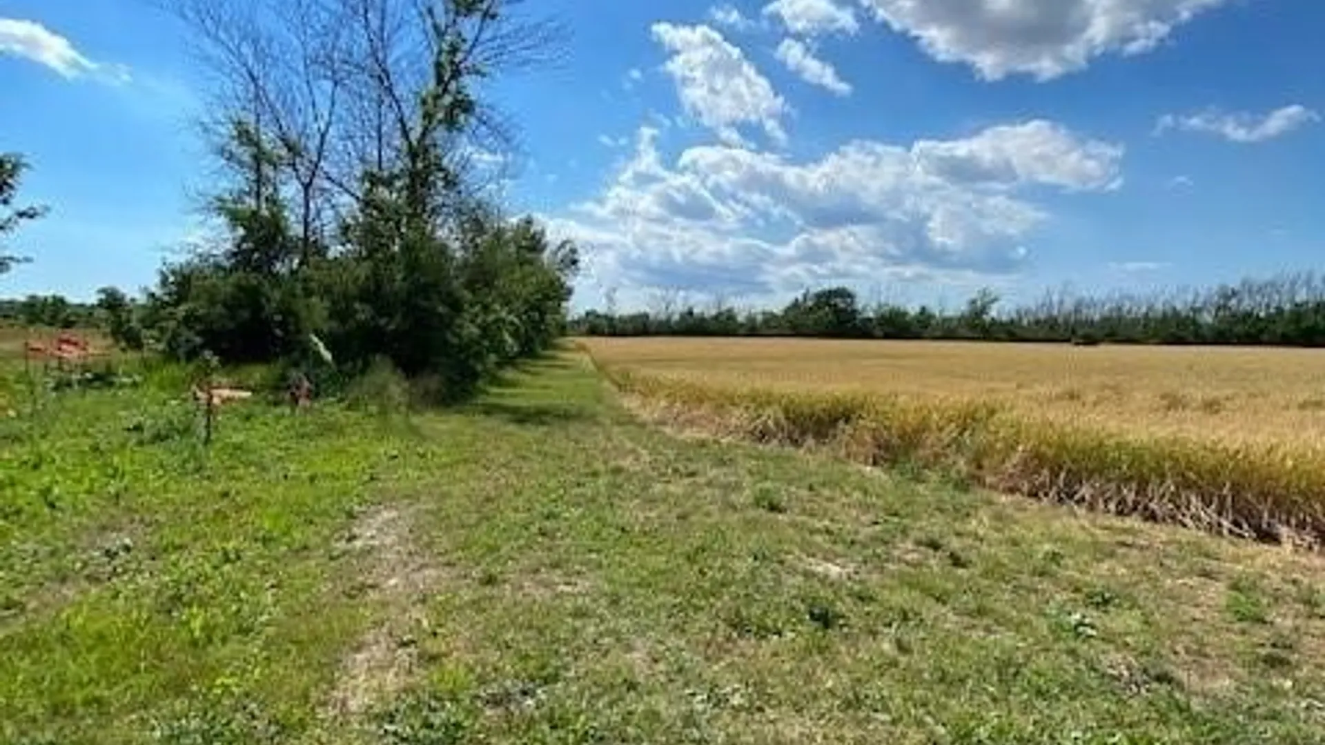 Property at 0 Baer Road, Cambria, NY 14131 6