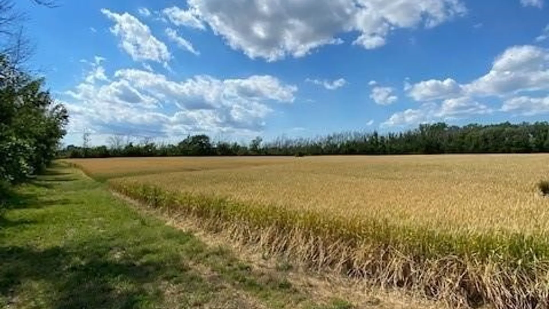 Property at 0 Baer Road, Cambria, NY 14131 7