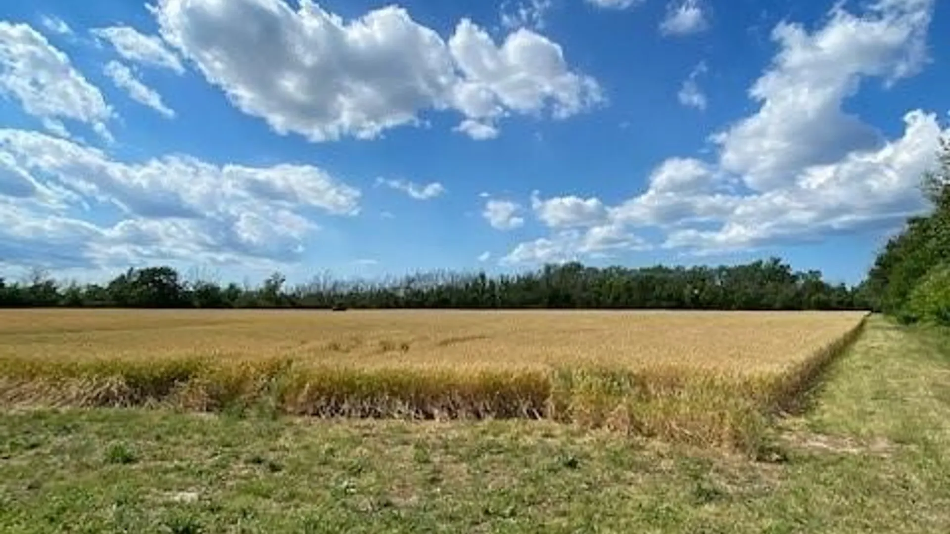 Property at 0 Baer Road, Cambria, NY 14131 8