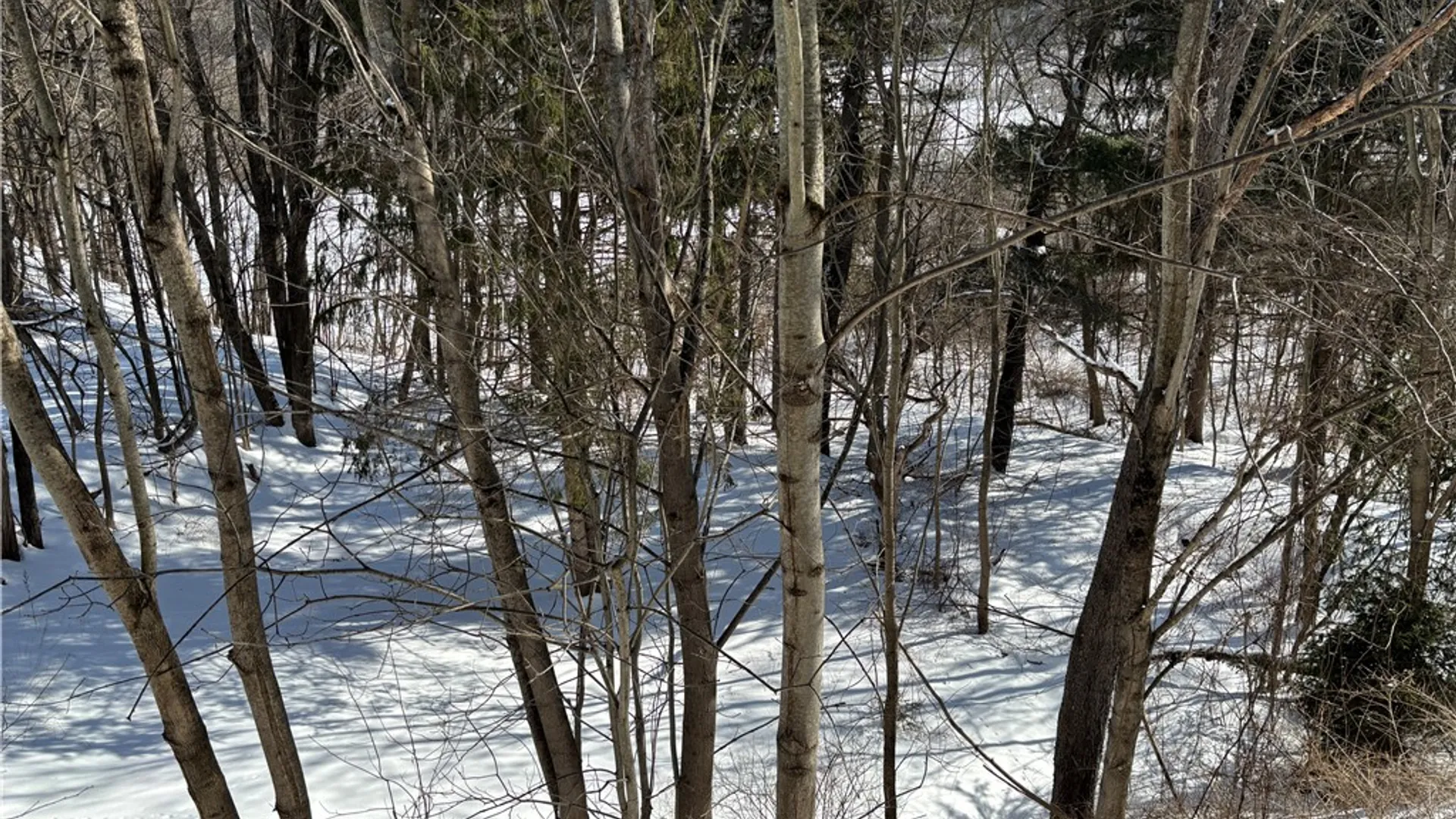 Property at 156 Main Street, Worcester, NY 12197 21