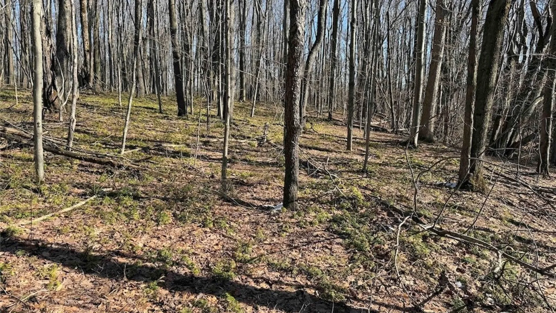 Property at 11401 Hanover Road, Hanover, NY 14062 26