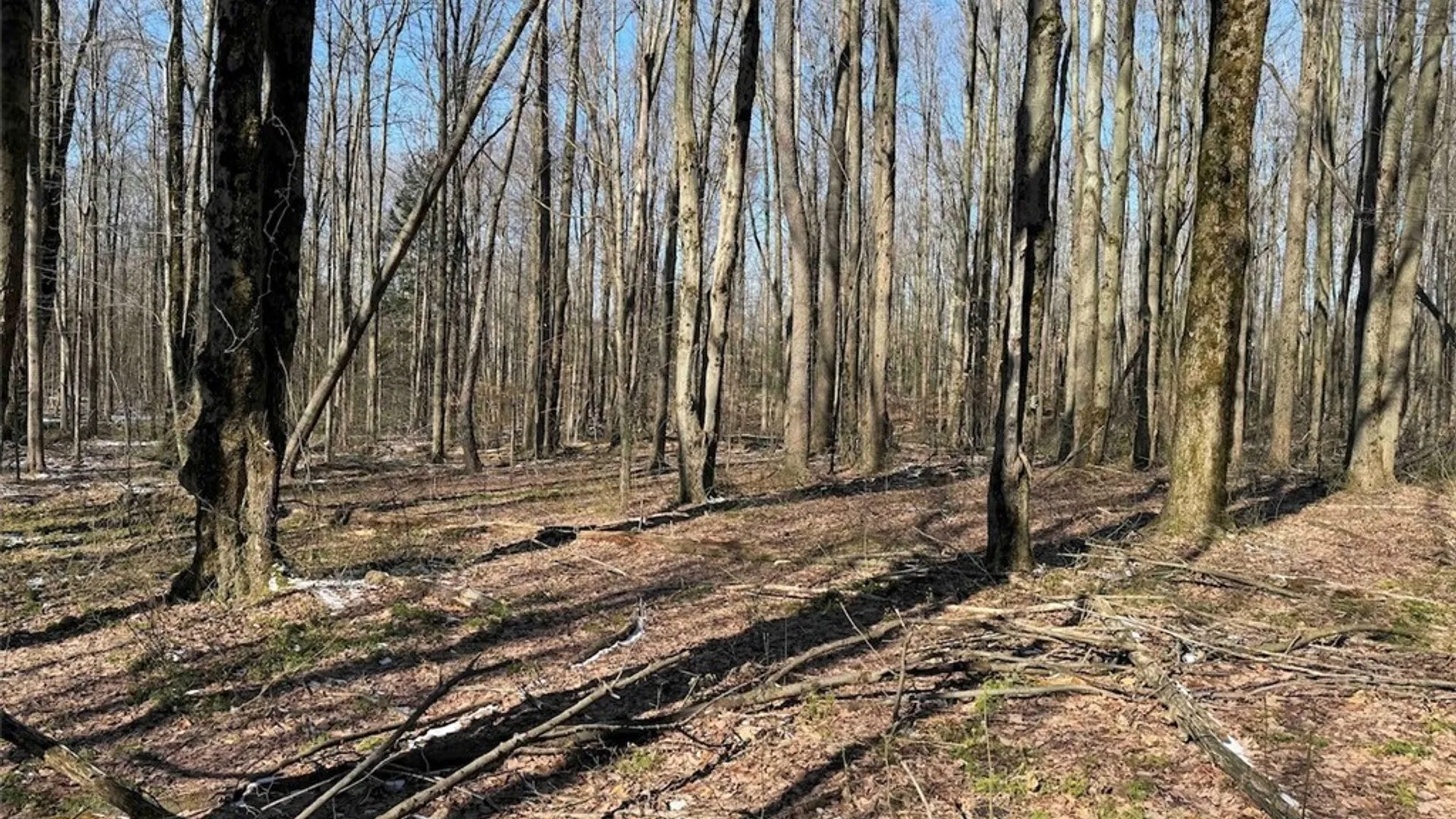 Property at 11401 Hanover Road, Hanover, NY 14062 28