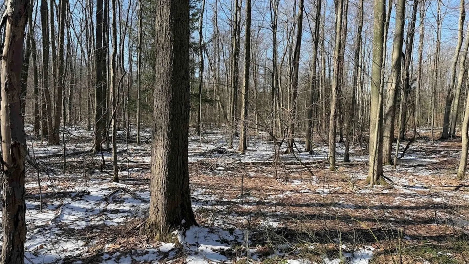 Property at 11401 Hanover Road, Hanover, NY 14062 29