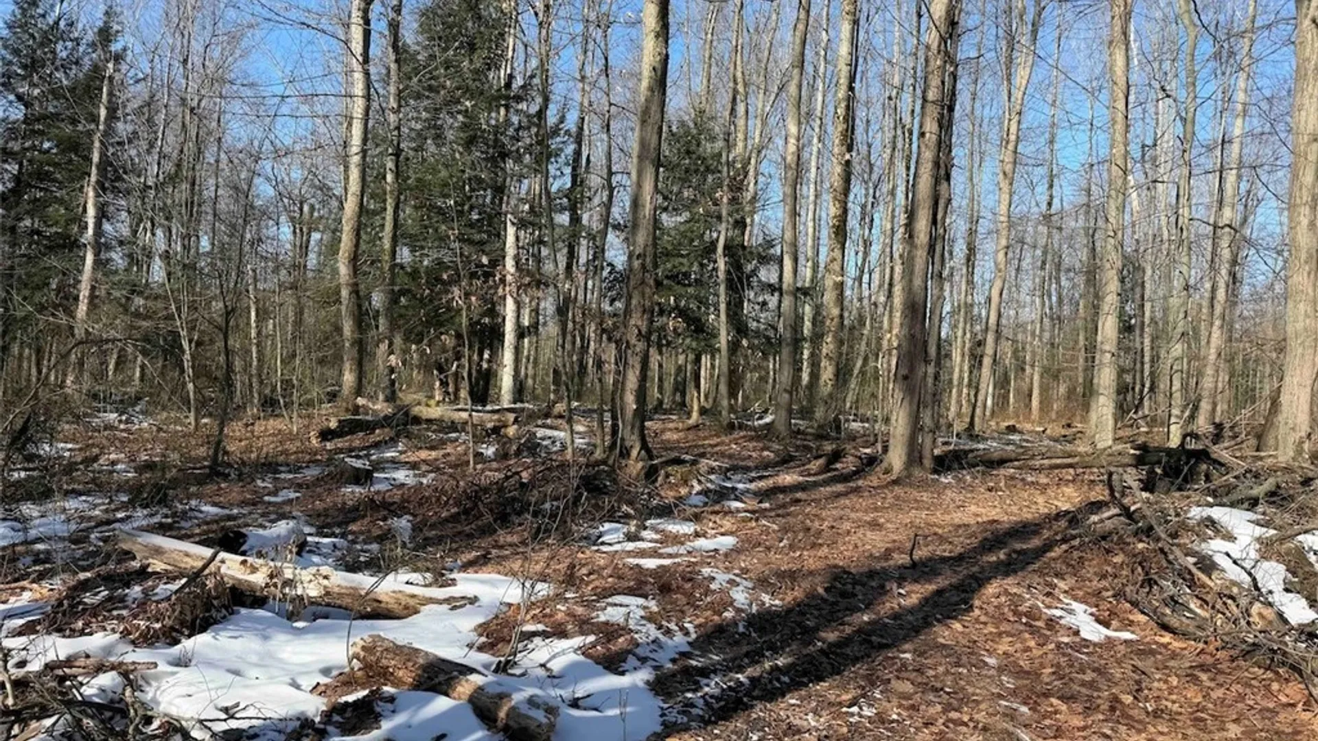 Property at 11401 Hanover Road, Hanover, NY 14062 31