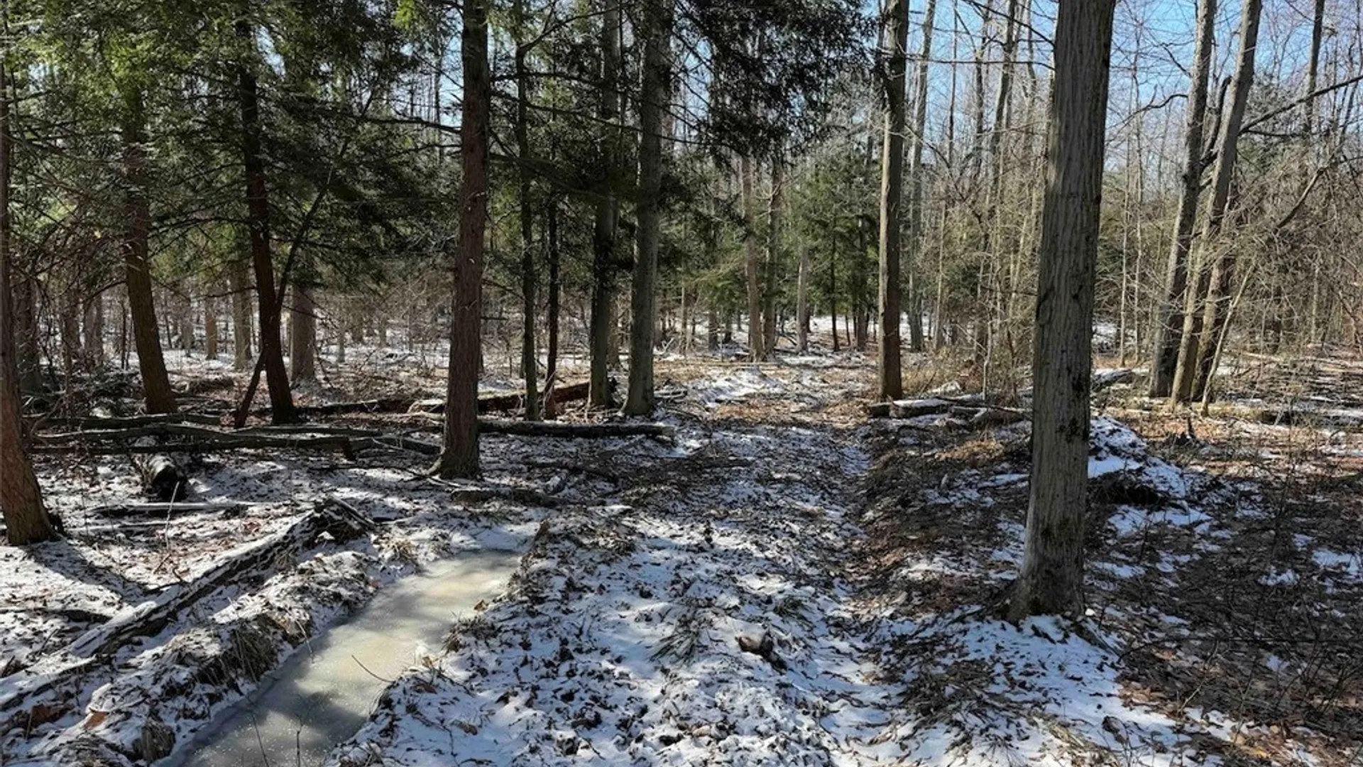 Property at 11401 Hanover Road, Hanover, NY 14062 32
