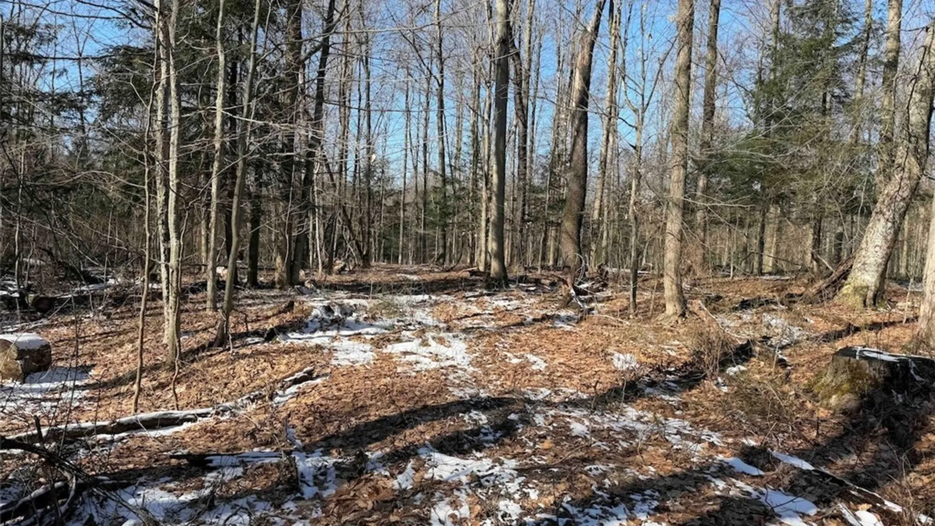 Property at 11401 Hanover Road, Hanover, NY 14062 33