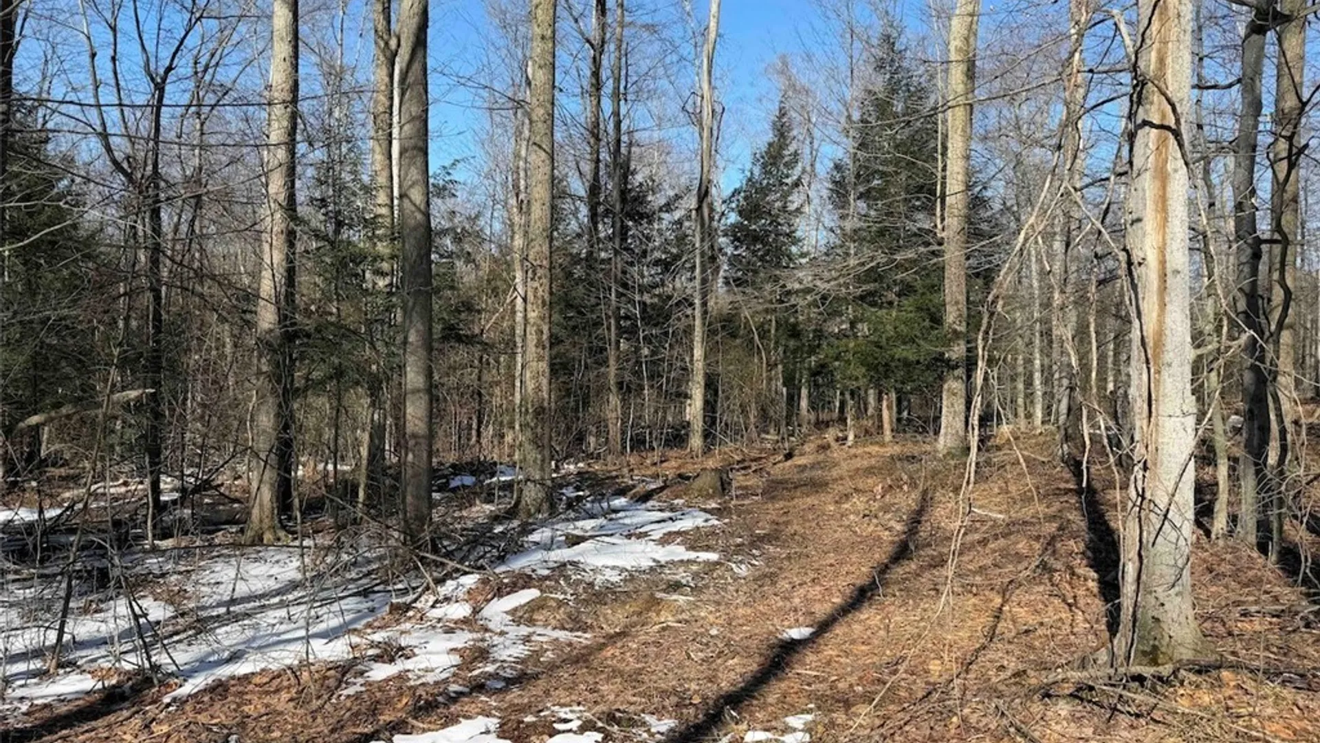 Property at 11401 Hanover Road, Hanover, NY 14062 34