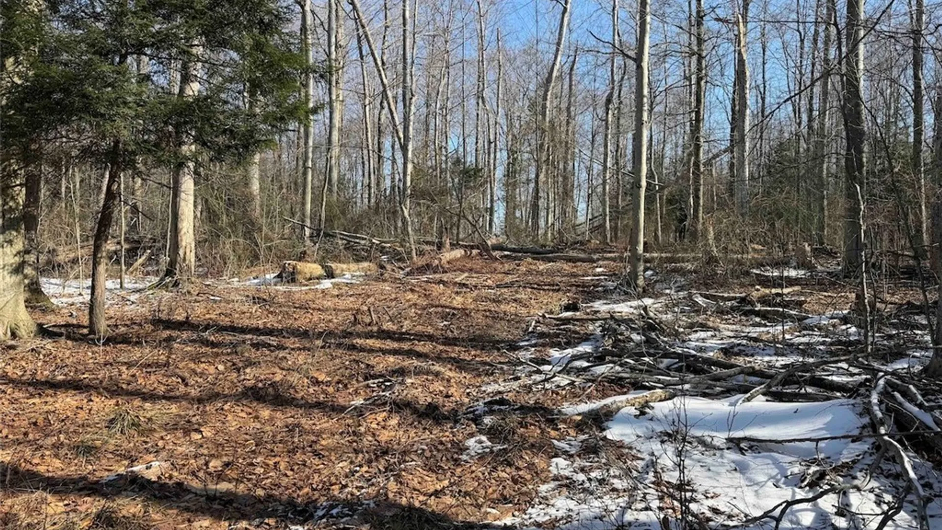 Property at 11401 Hanover Road, Hanover, NY 14062 35