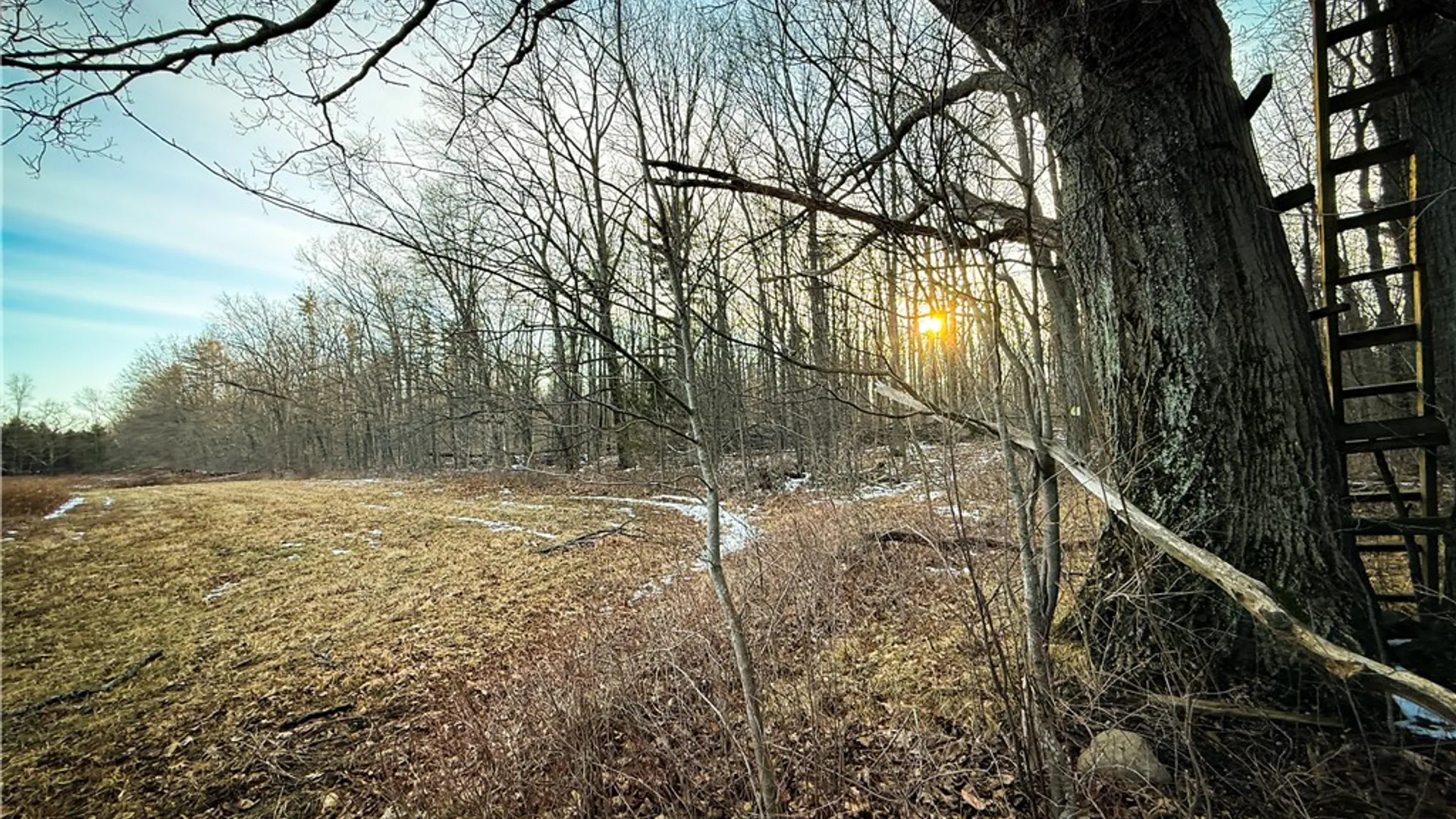 Property at V/L-1 Lodi Center Road, Lodi, NY 14860 30